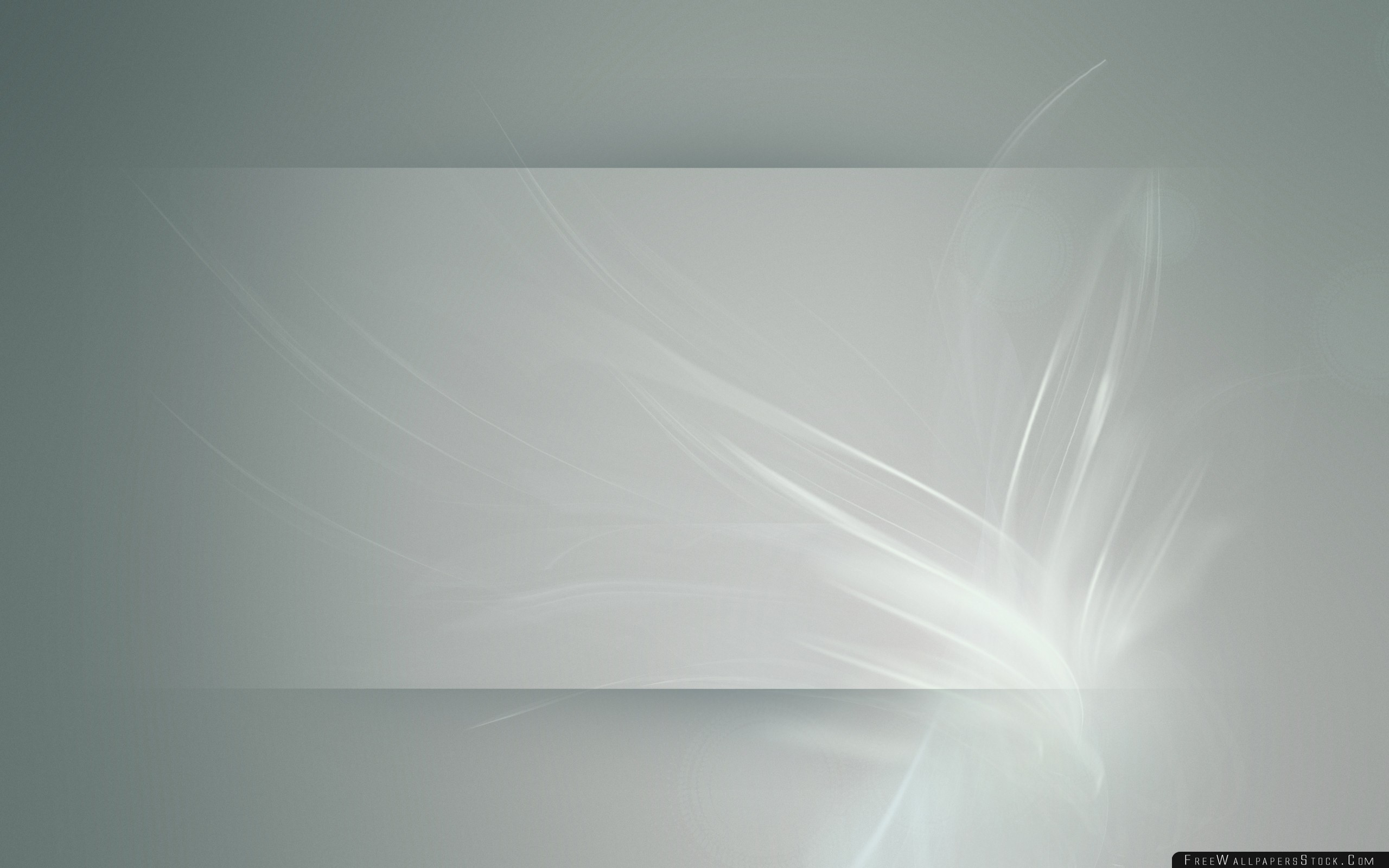 2560x1600 Download Free Wallpaper Background Flower Light Pale