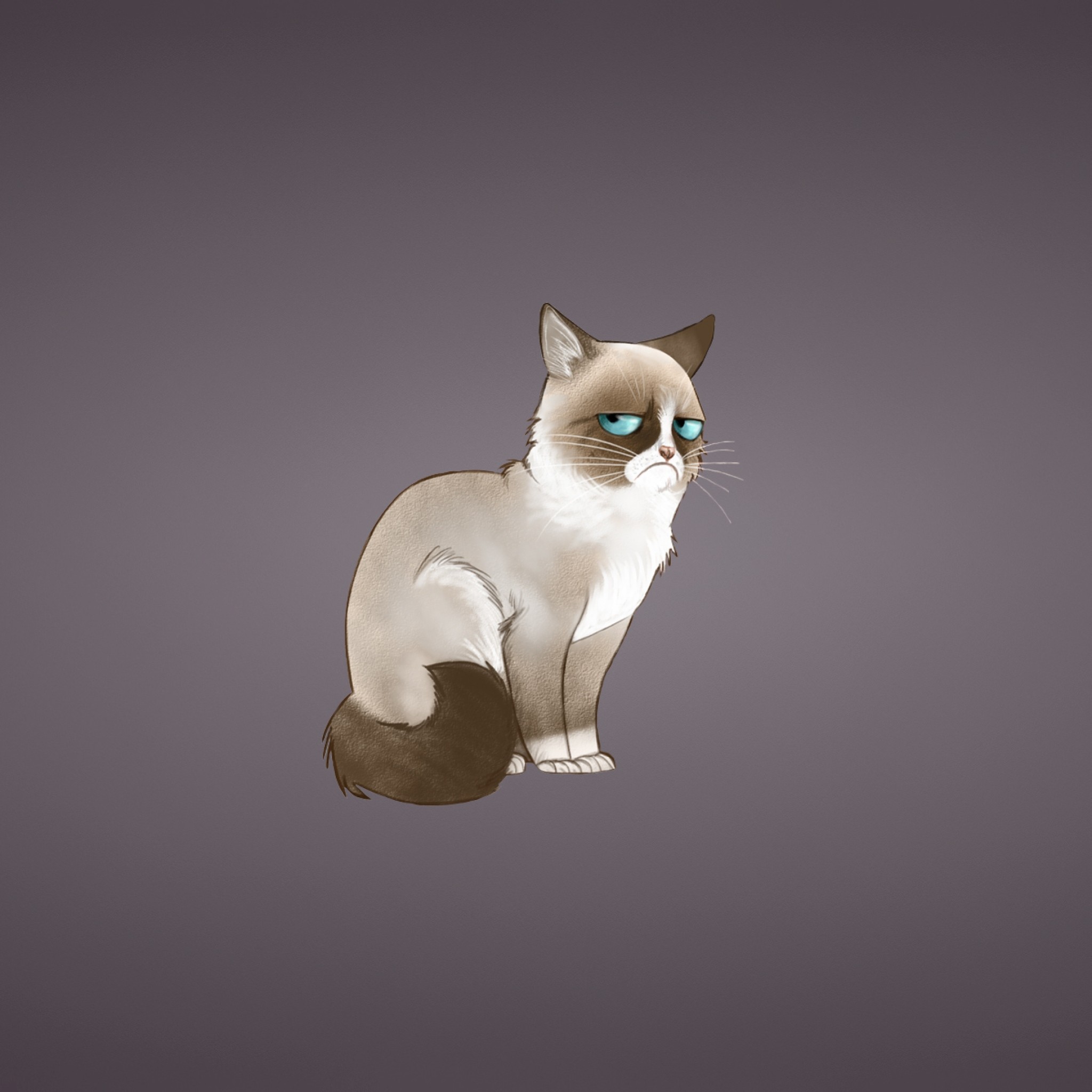 2048x2048 Preview wallpaper grumpy cat, meme, cat 