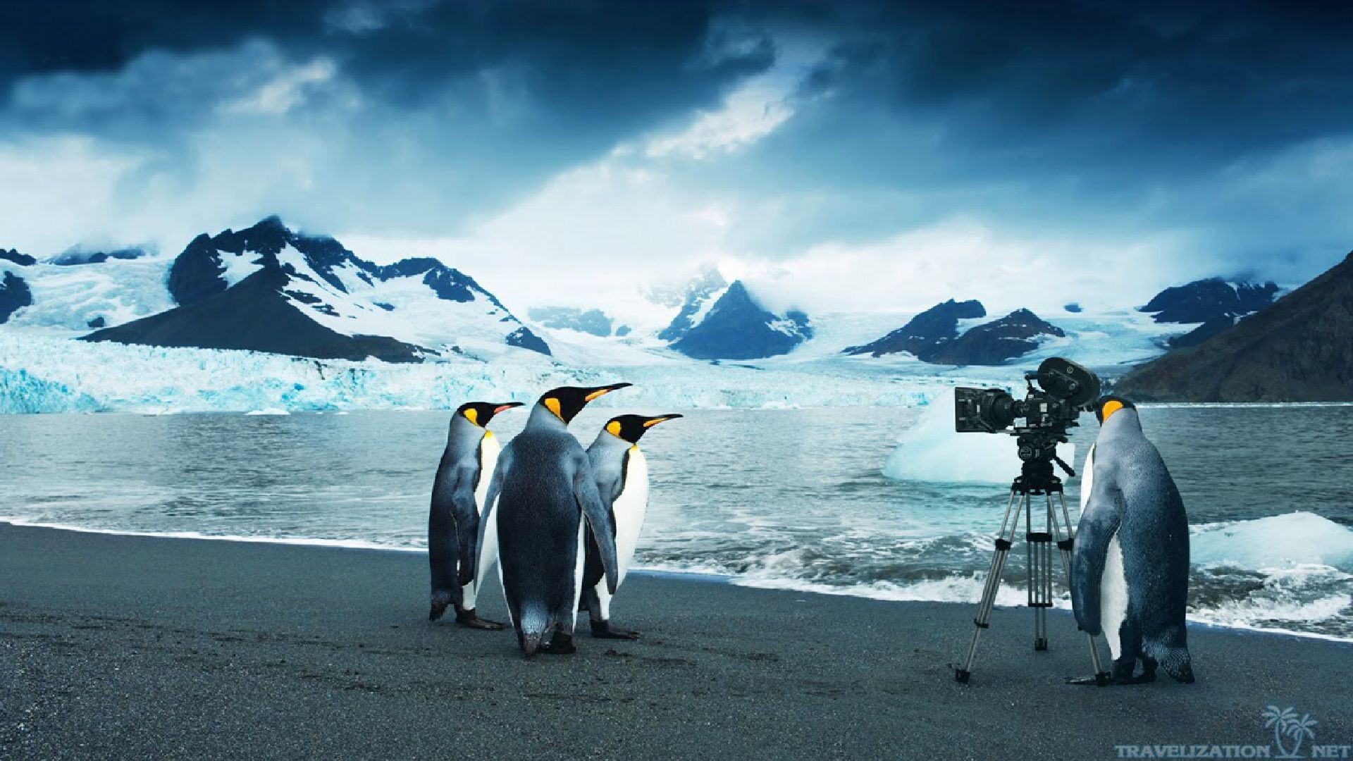 pittsburgh penguins wallpaper hd