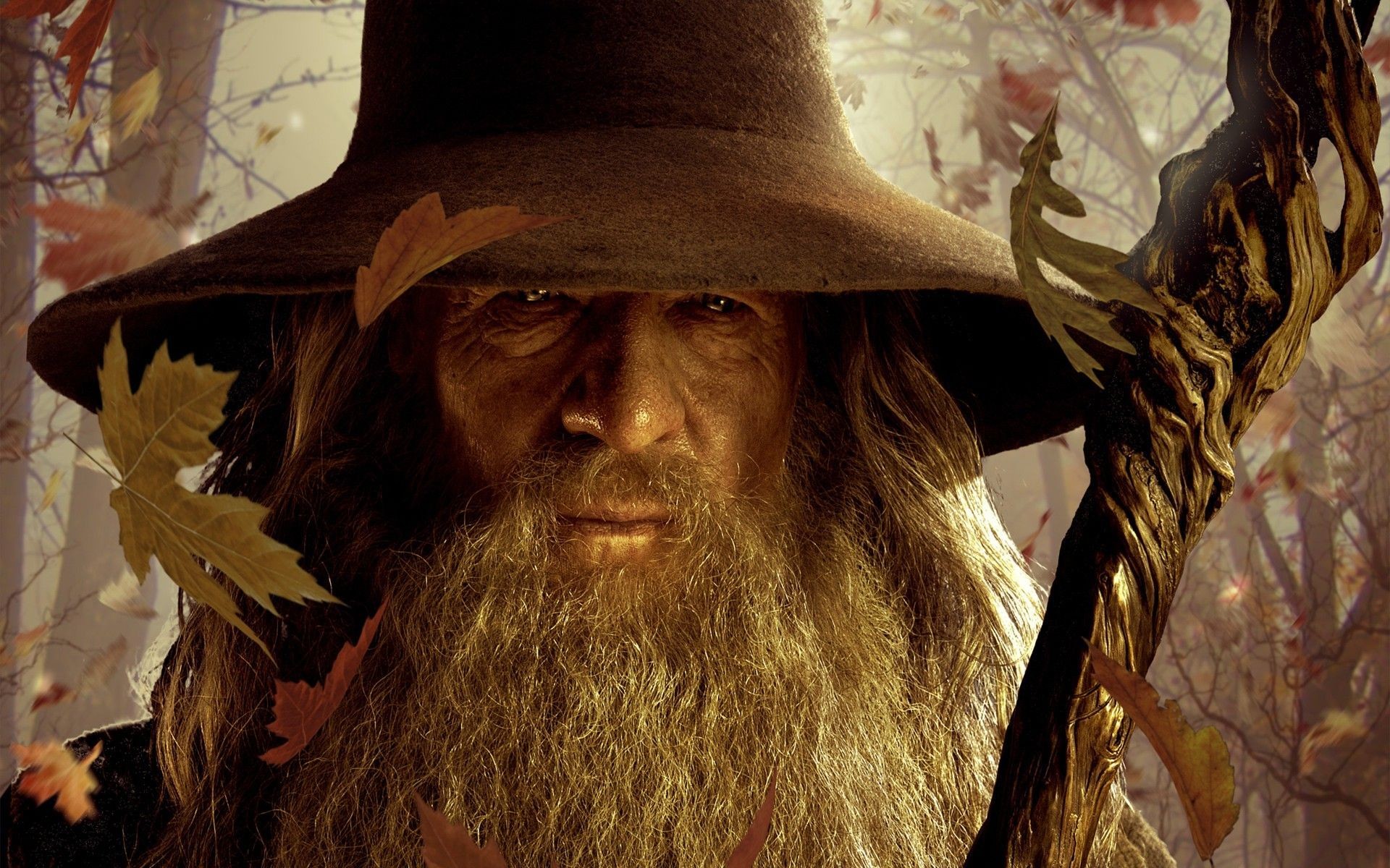 1920x1200 ... Gandalf - The Lord of the Rings