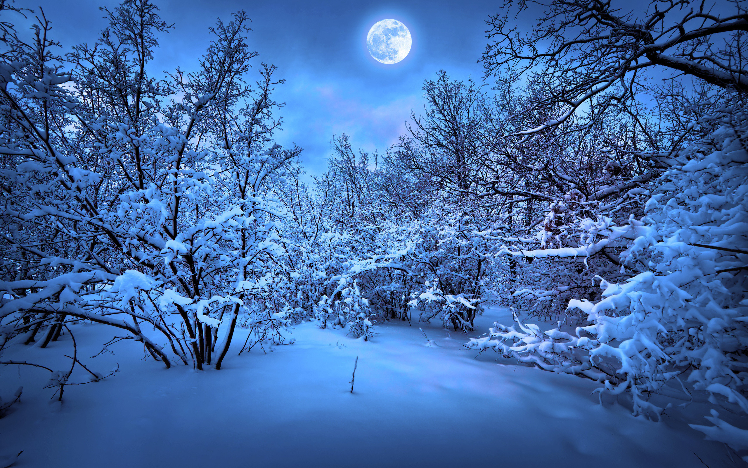 2560x1600 ÃÂ« Christmas Snow Widescreen Desktop Wallpaper ÃÂ· Christmas Snow Desktop HD  Wallpaper