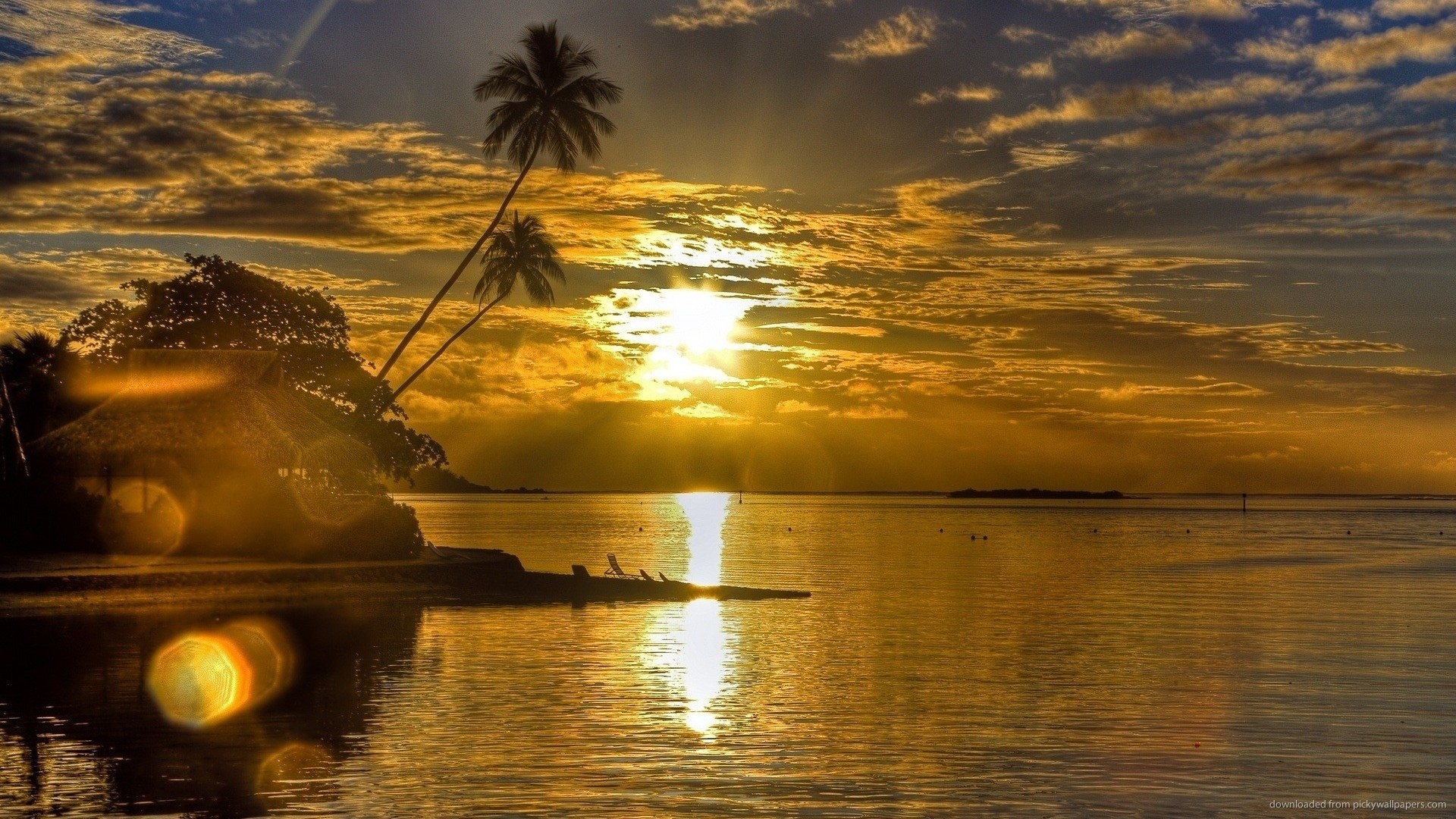 1920x1080 Sunset and palm trees for 