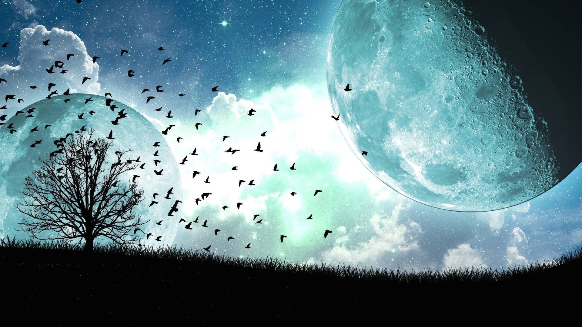 1920x1080 Fantasy Tag - Dream Vector Moon Birds Sci Fantasy Sky Nature Wallpaper  Latest Download for HD