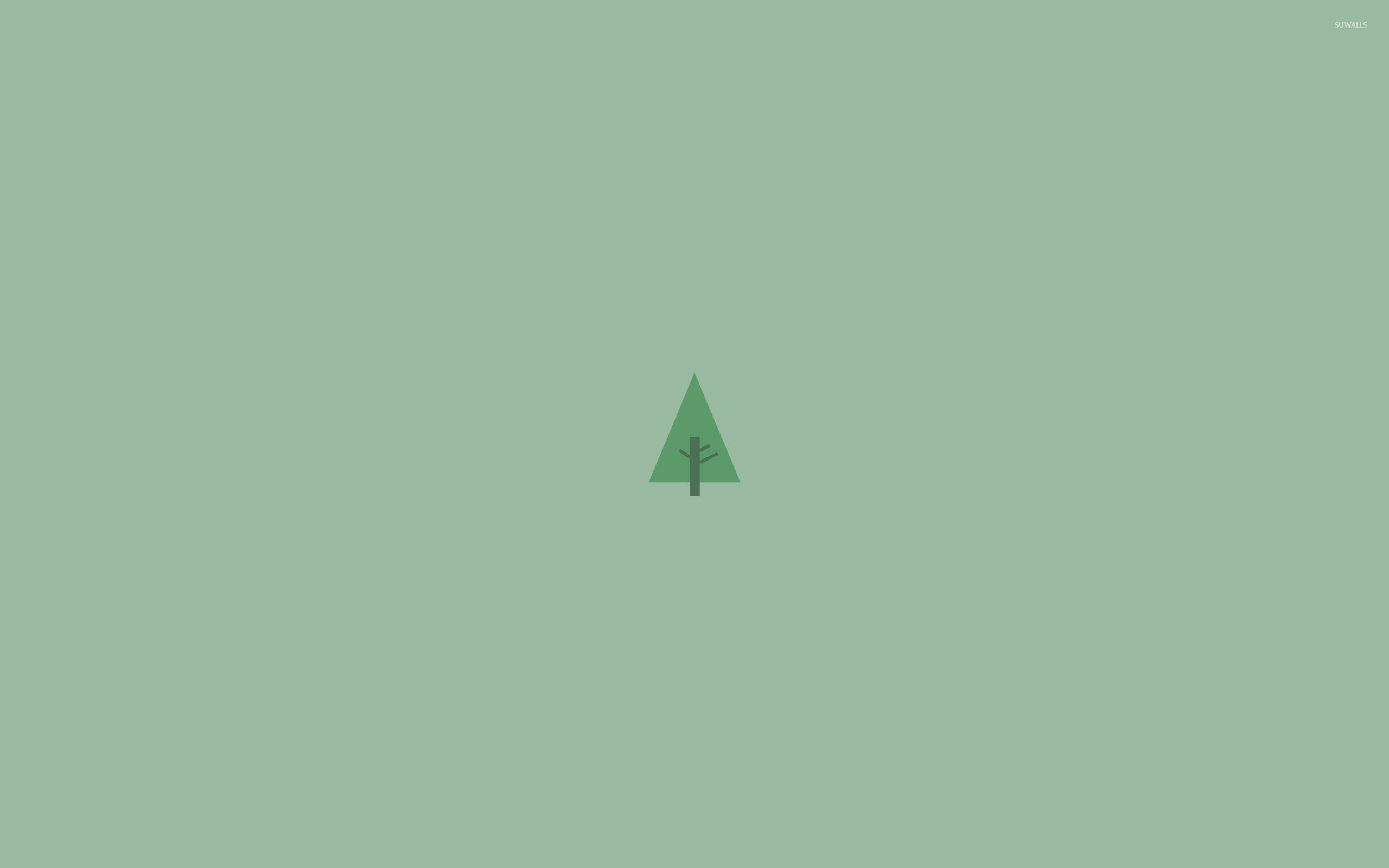 Pine Tree Wallpaper (68+ images)