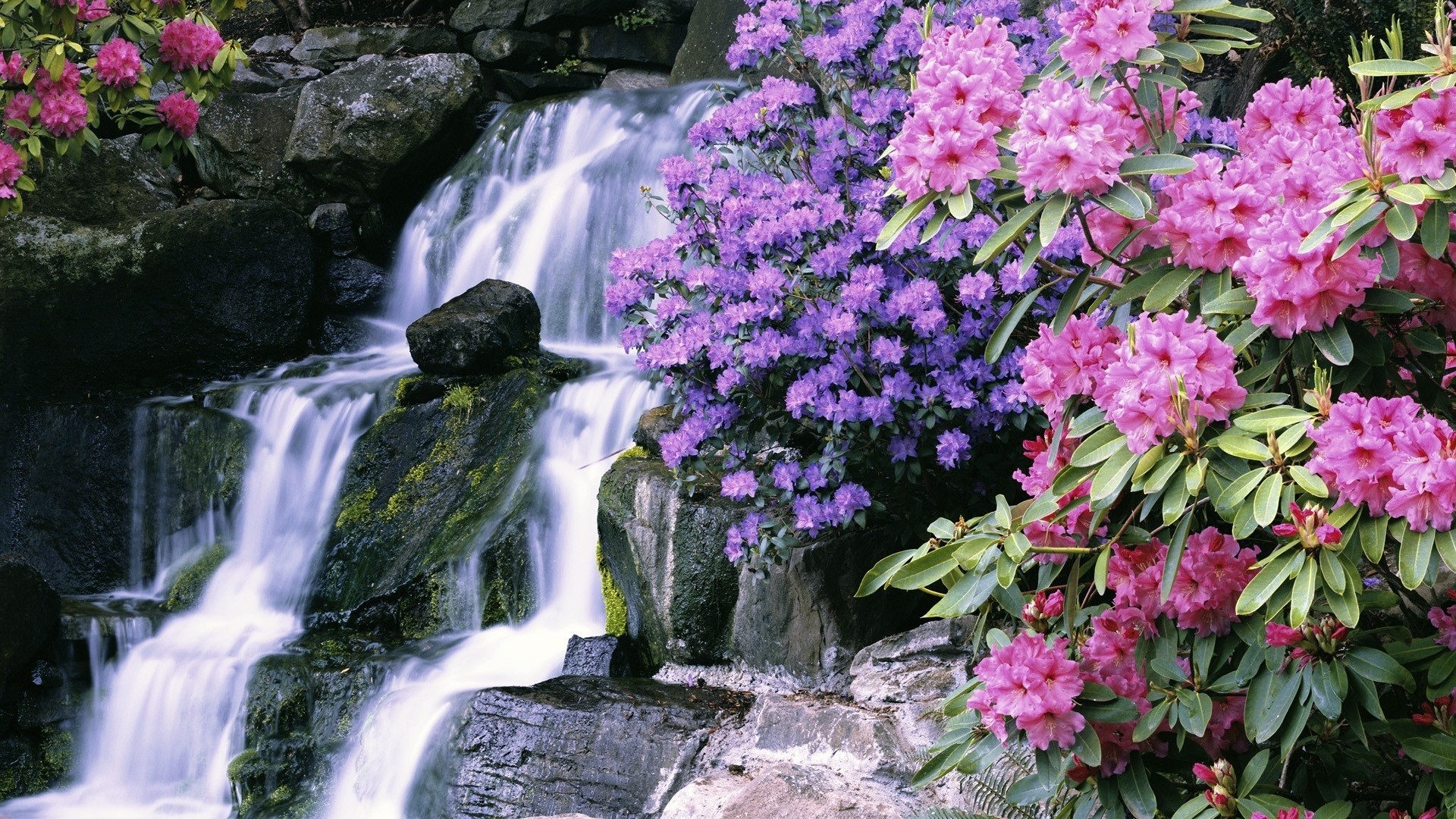 1920x1080 Most-Beautiful-Waterfalls-with-Flowers-Download-1920Ã1080-flowers-garden- crystals-oregon-portland-wallpaper-wpt7807271
