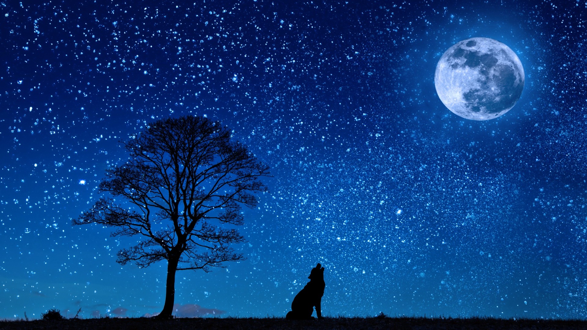 1920x1080 Preview wallpaper wolf, starry sky, tree, moon 