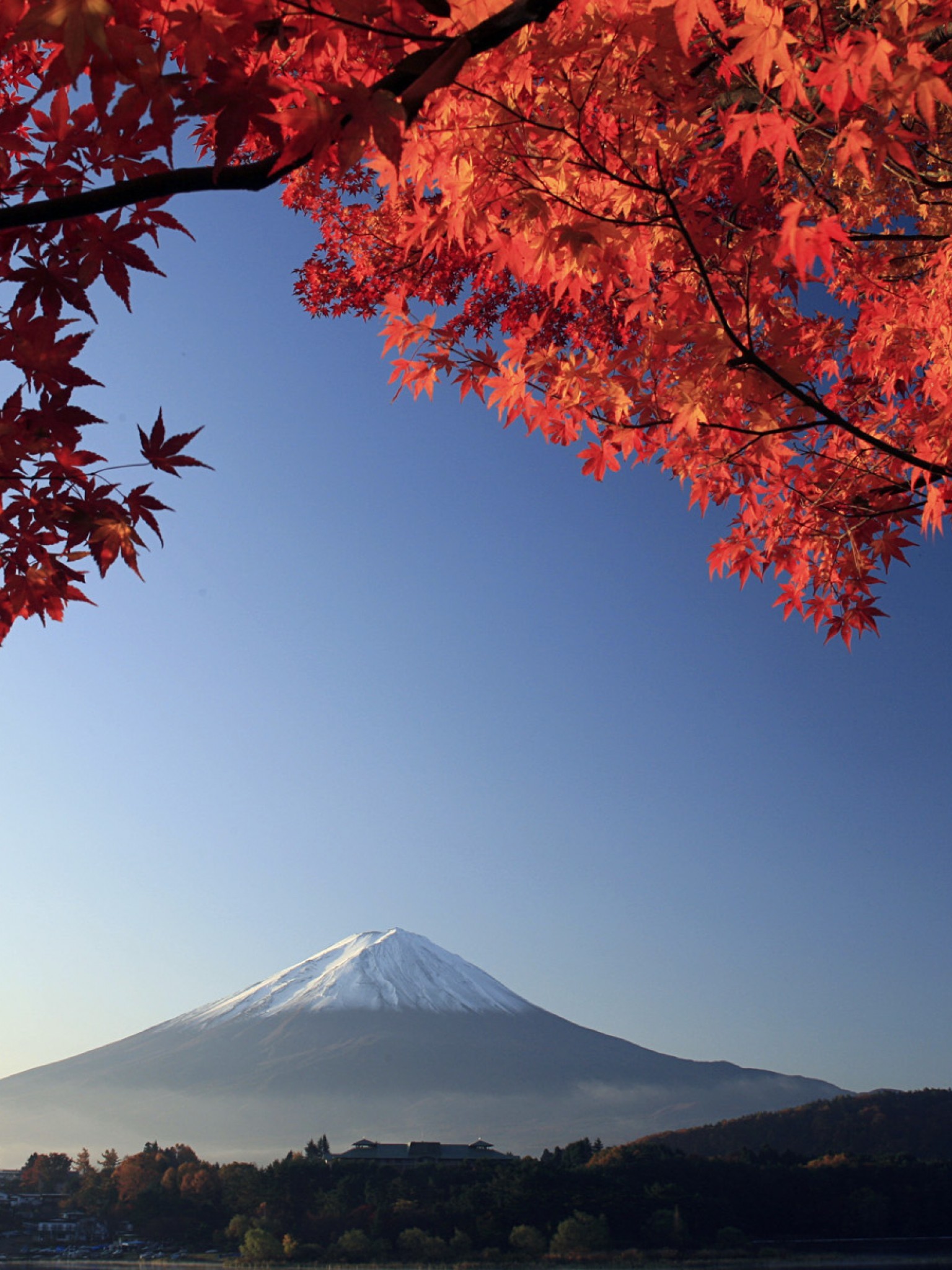 1536x2048 Mount Fuji Autumn Japan