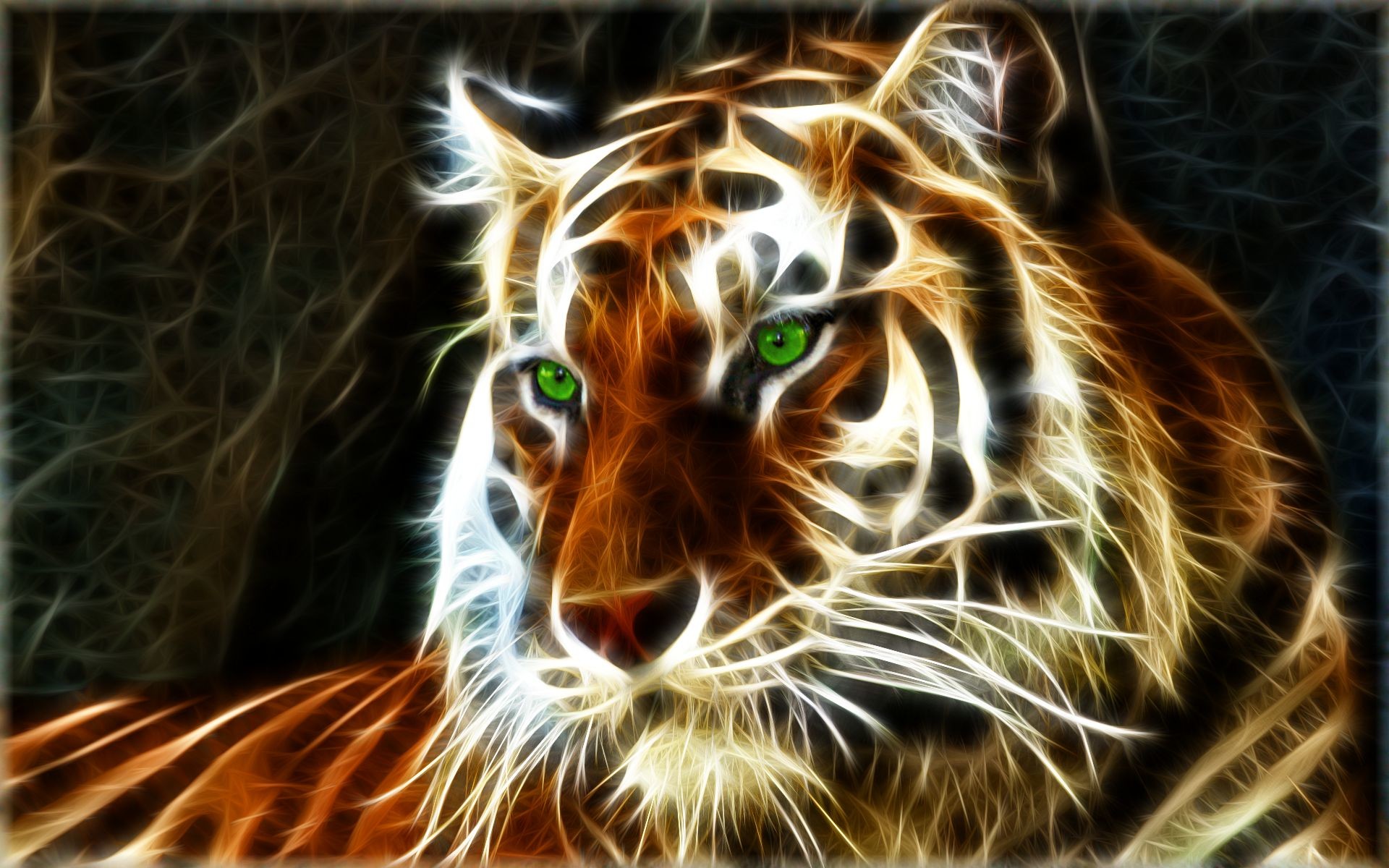 1920x1200 Tiger Desktop Background