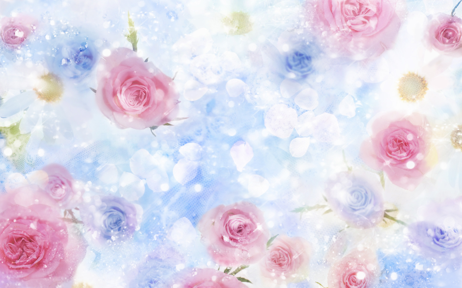 1920x1200 Roses Desktop Backgrounds