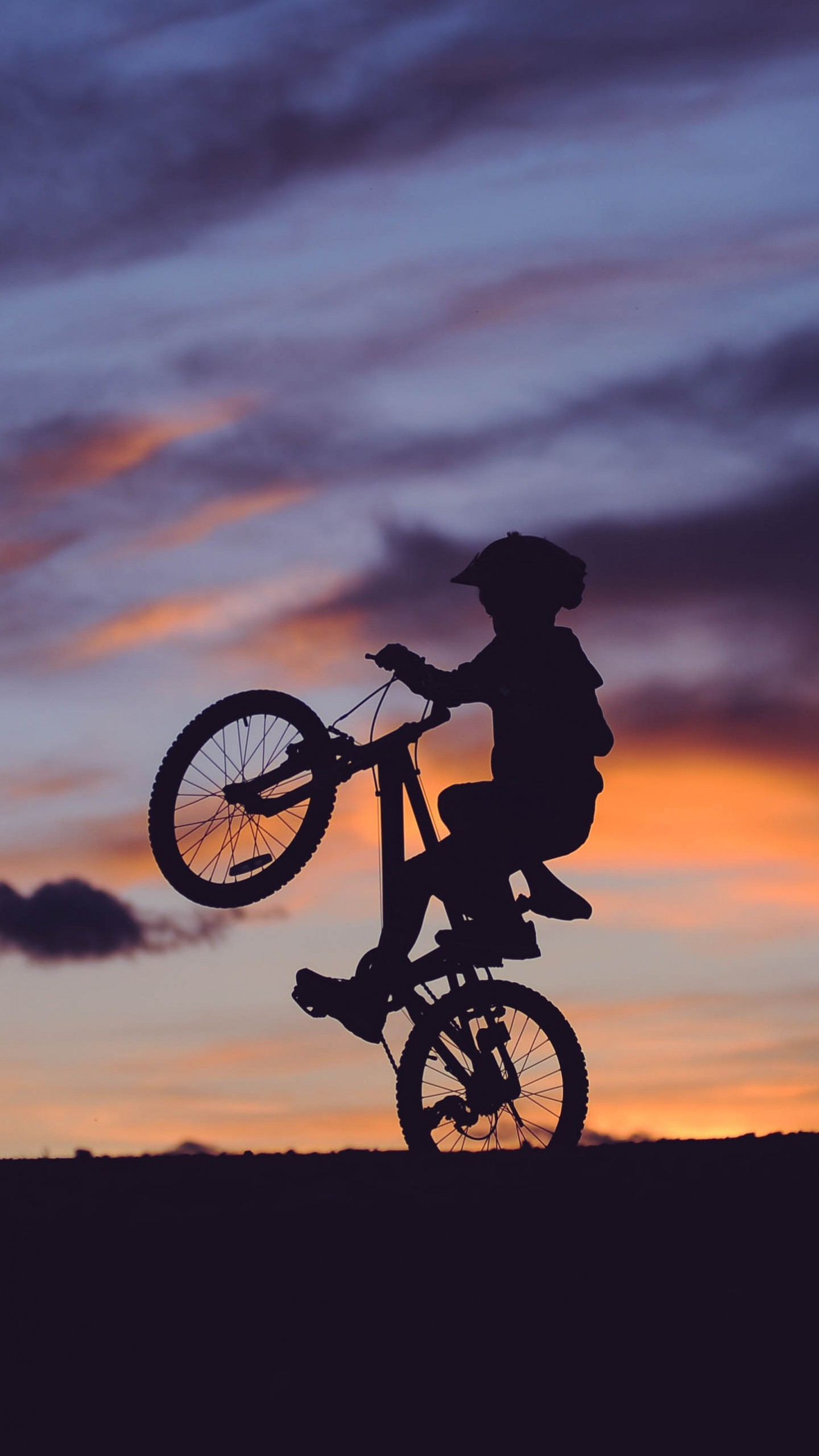 1440x2560 Cyclist Silhouette Sunset Wallpaper  380x676