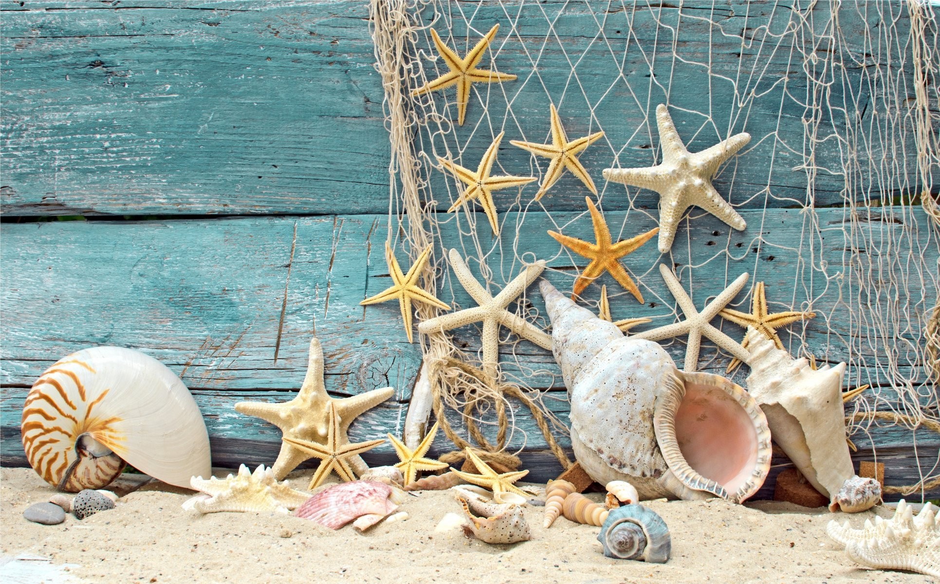 1931x1200 seashells starfish net wood marine shells sand beach net stones tree