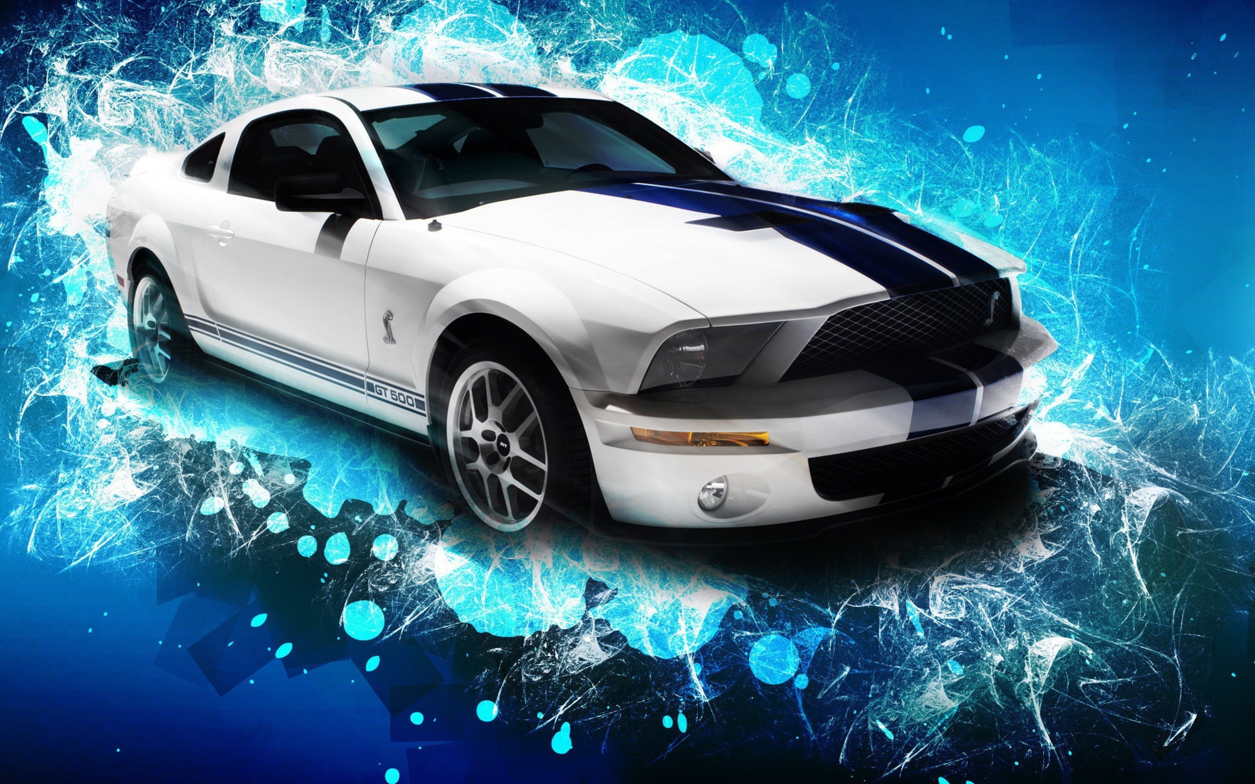 2560x1600 free wallpaper and screensavers for ford mustang gt500