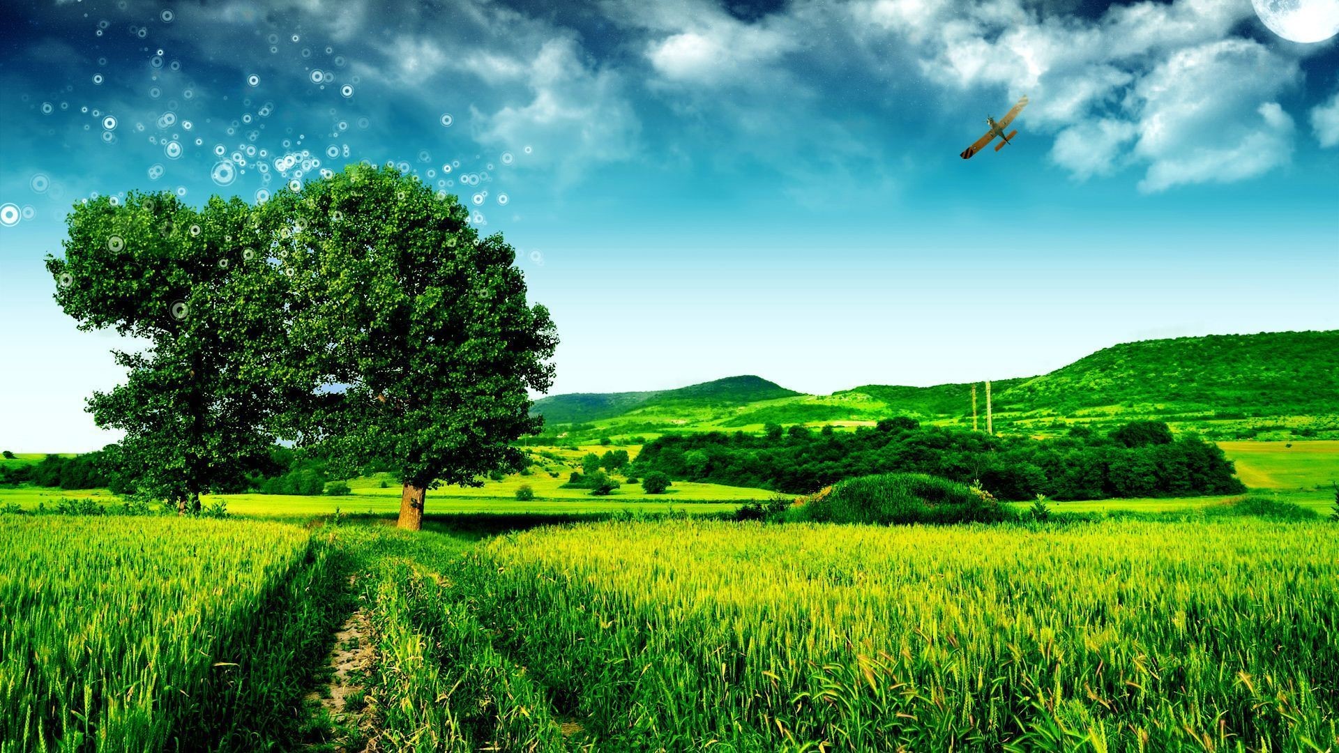1920x1080 Green Landscape Wallpaper (with Low Flying Plane)