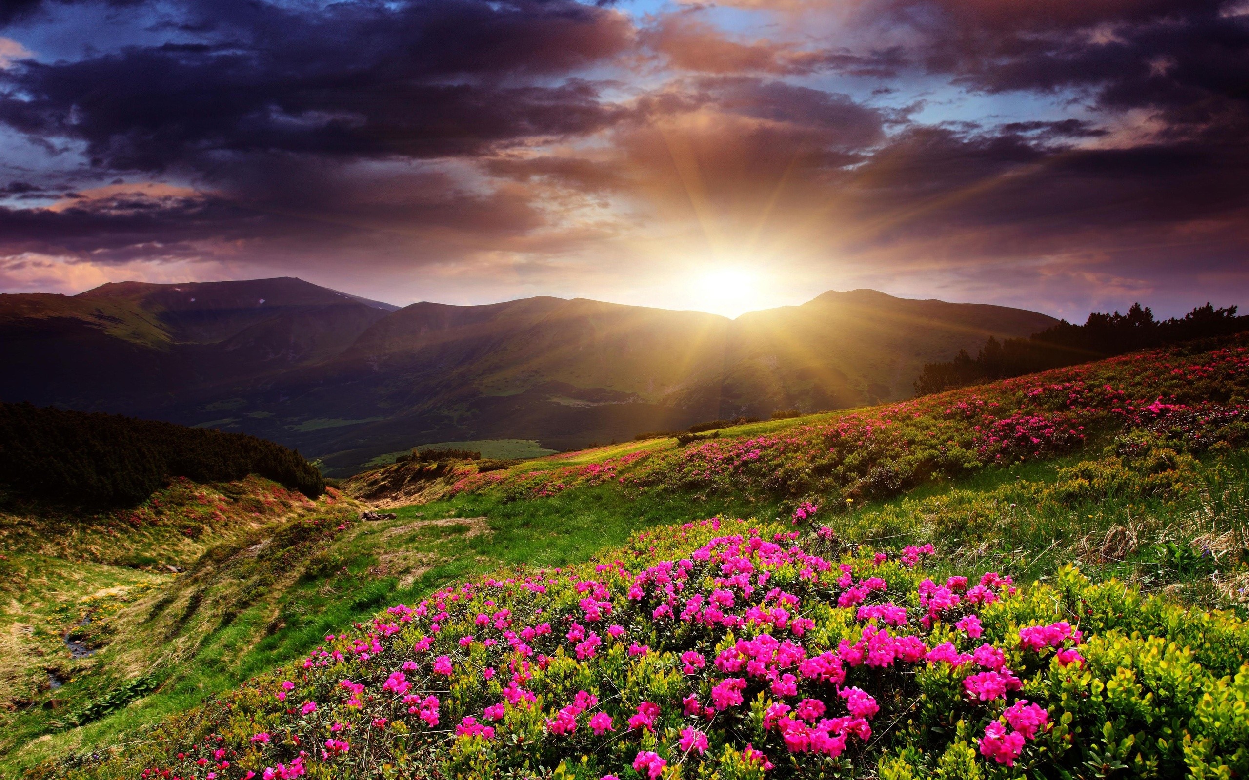 2560x1600 awesome sunrise wallpaper 34175