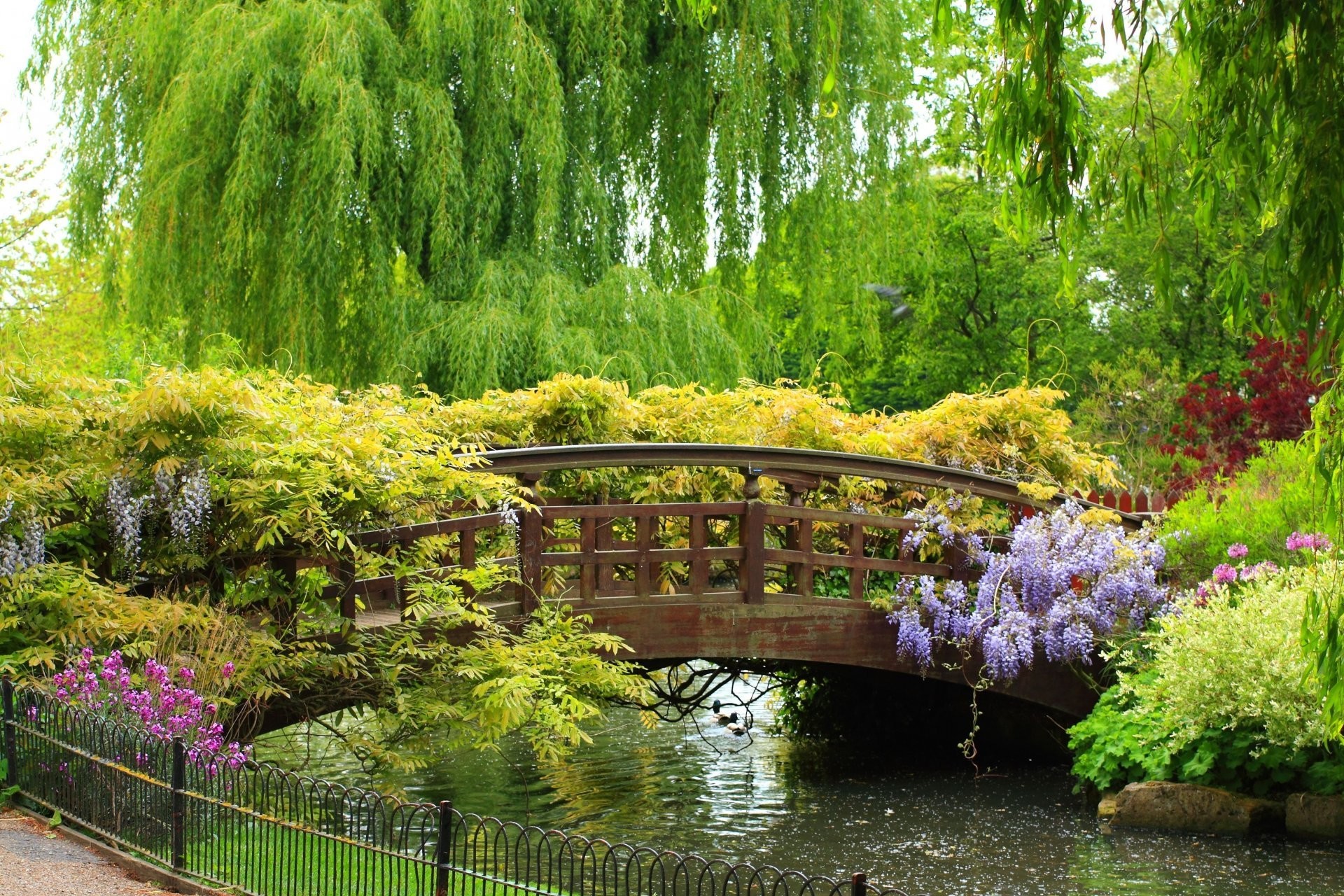 1920x1280 spring garden bridge park nice river fence plants flower tree weeping willow  beauty