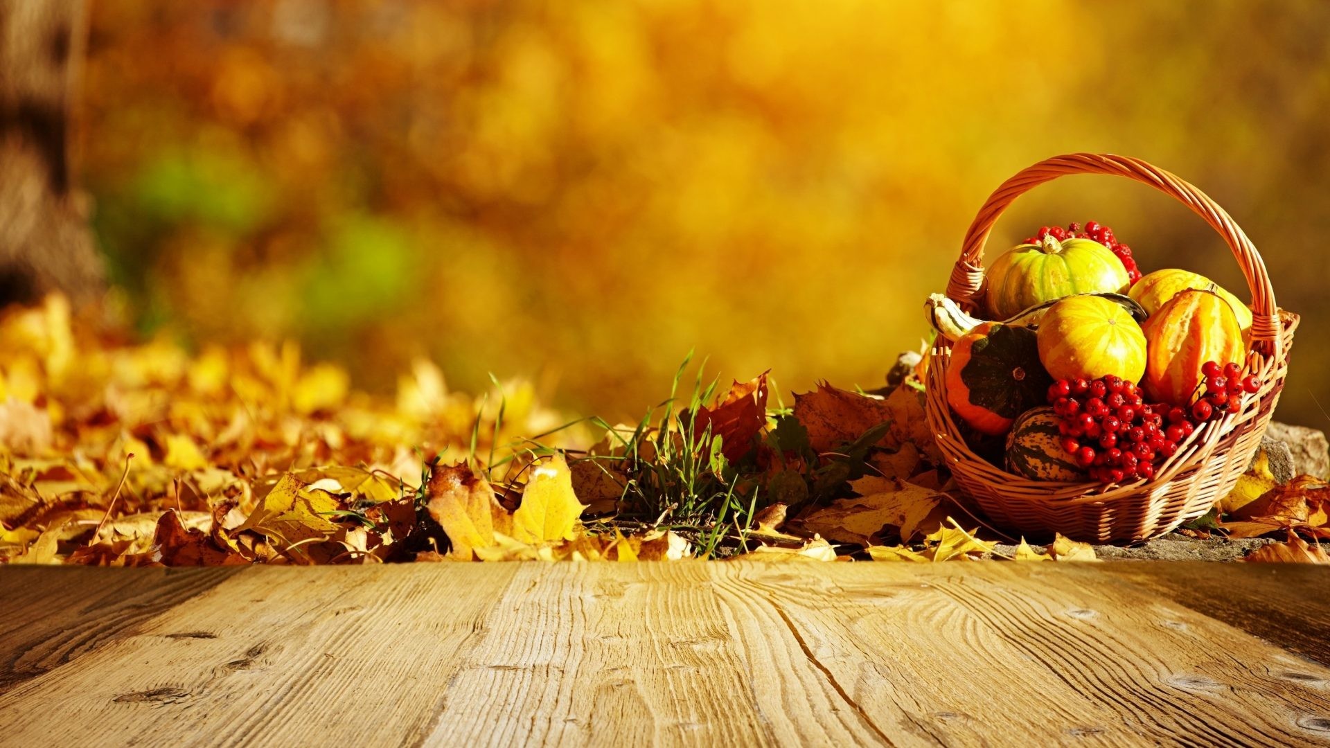 1920x1080 Harvest Tag - Fall Harvest Autumn Leaves Desktop Backgrounds for HD 16:9  High Definition