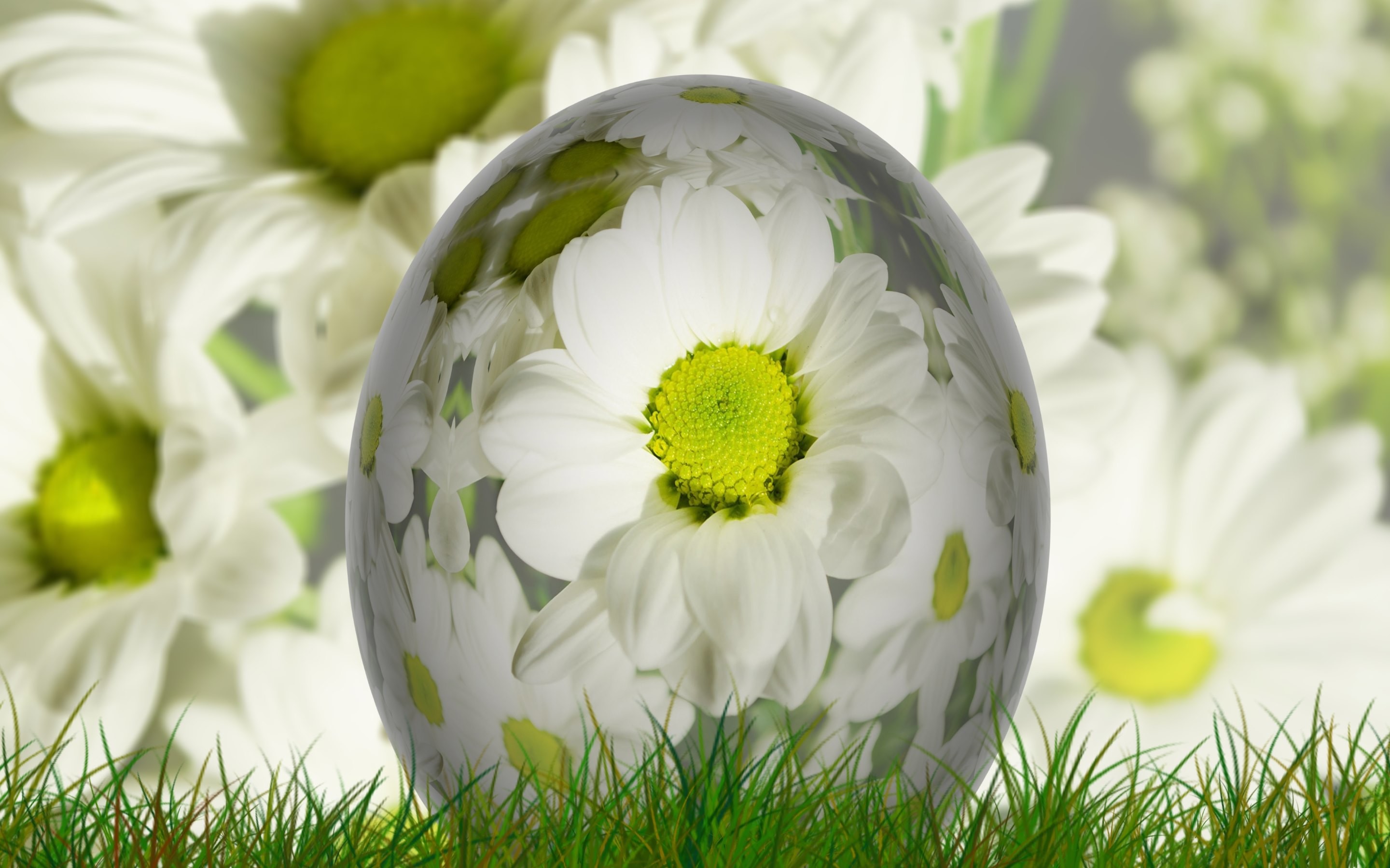 2880x1800 The big Easter egg picture is the creation of graphic designer Gerd Altmann  and by his courtesy is shared free under CC0 license Â· Download the  wallpaper in ...