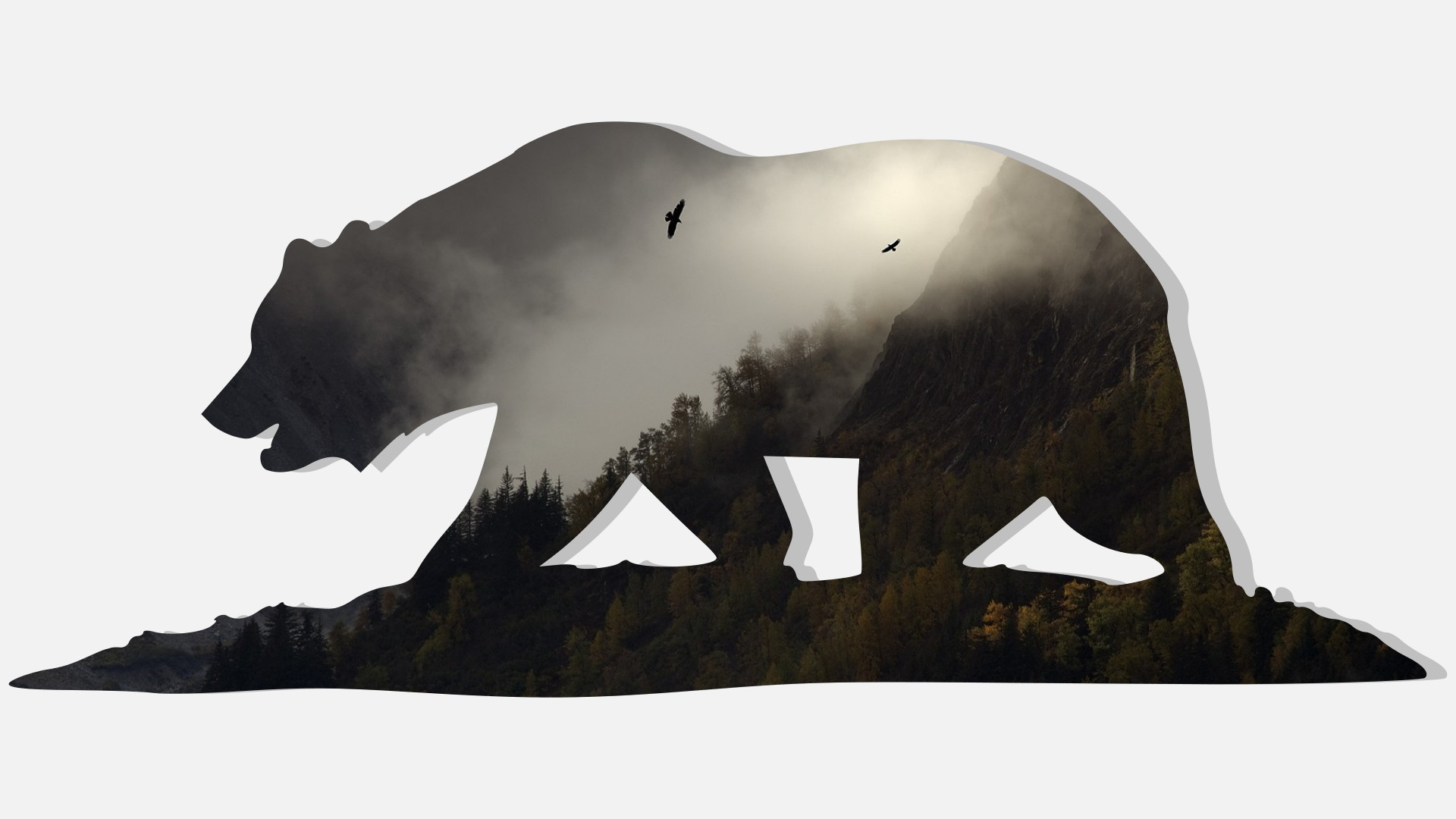 1920x1080 California Bear Wallpaper