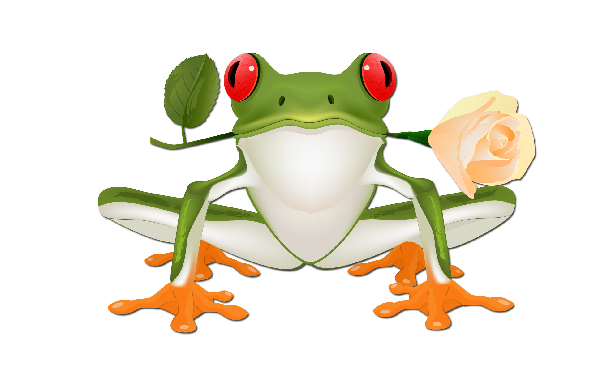 1920x1200 Funny Frog Wallpaper Desktop