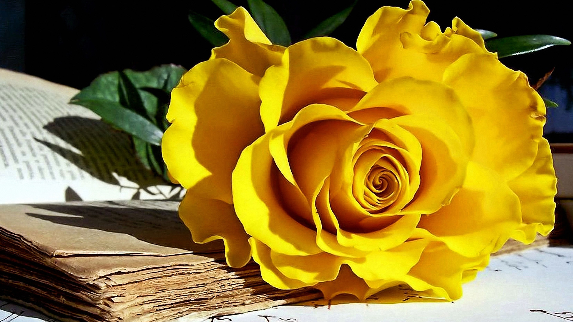 1920x1080 Yellow roses and old books wallpapers.jpg (1920Ã1080)