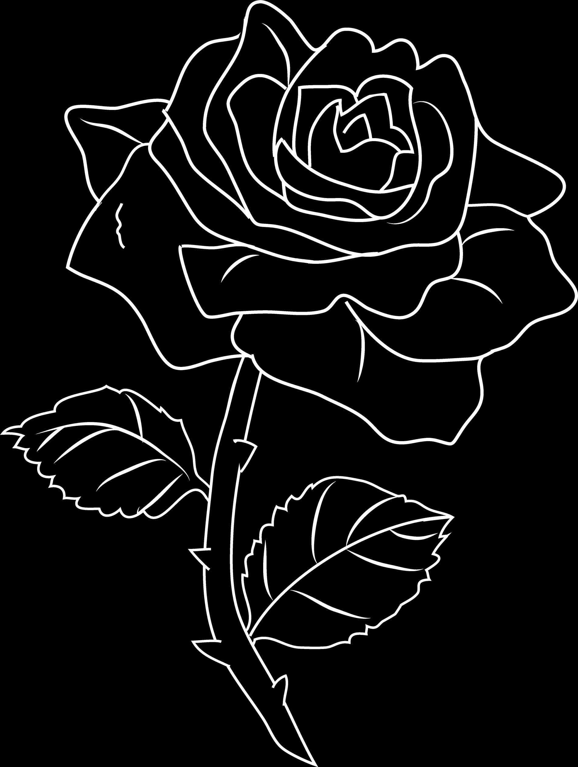 1900x2521 Cliparts free download clip art vector png on rose black rose vector png  vector png free .