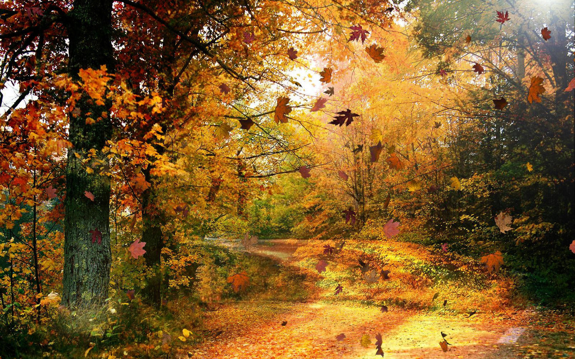 1920x1200 Fall Scenery Picture Download Free.