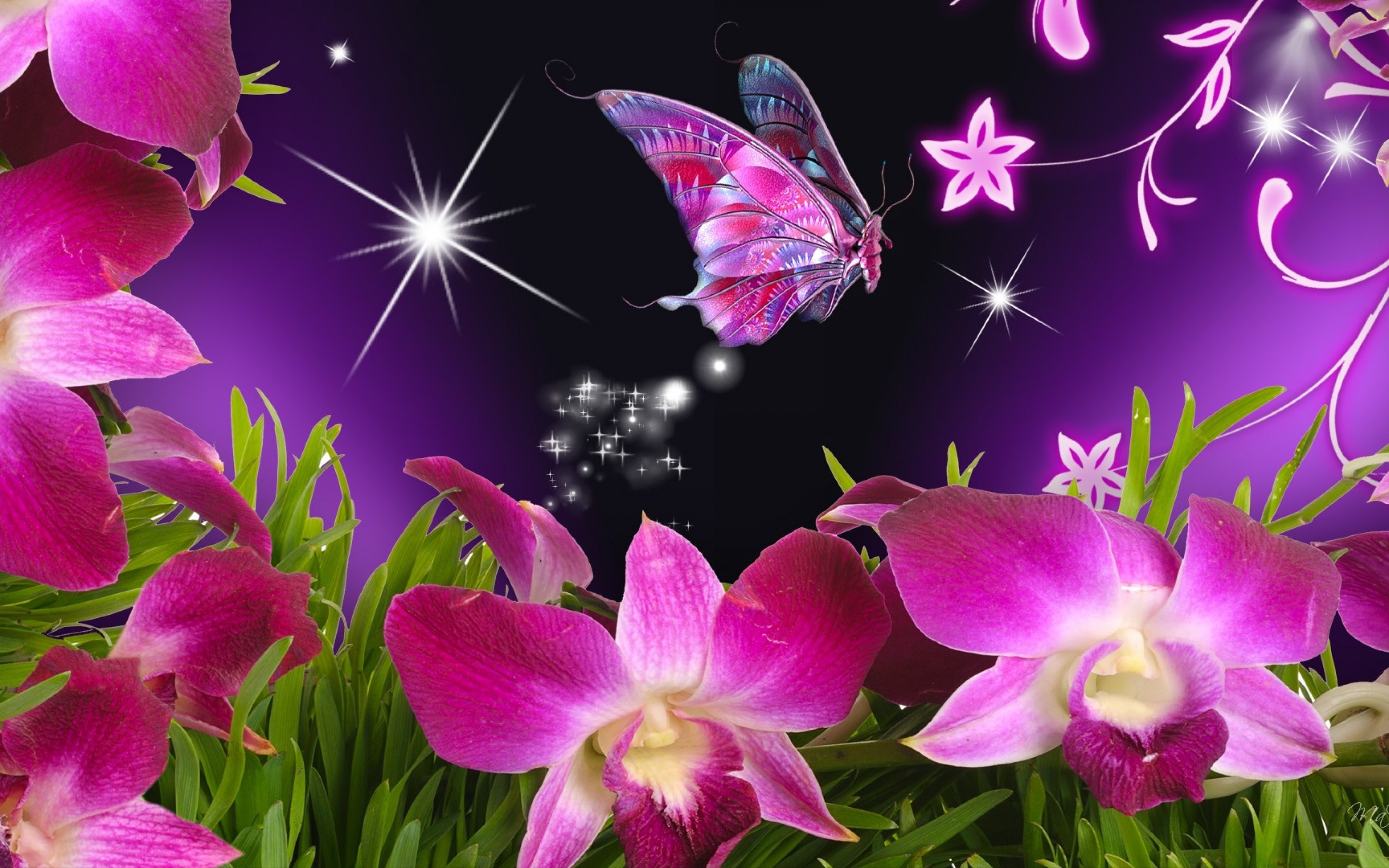2880x1800 butterfly wallpaper pink