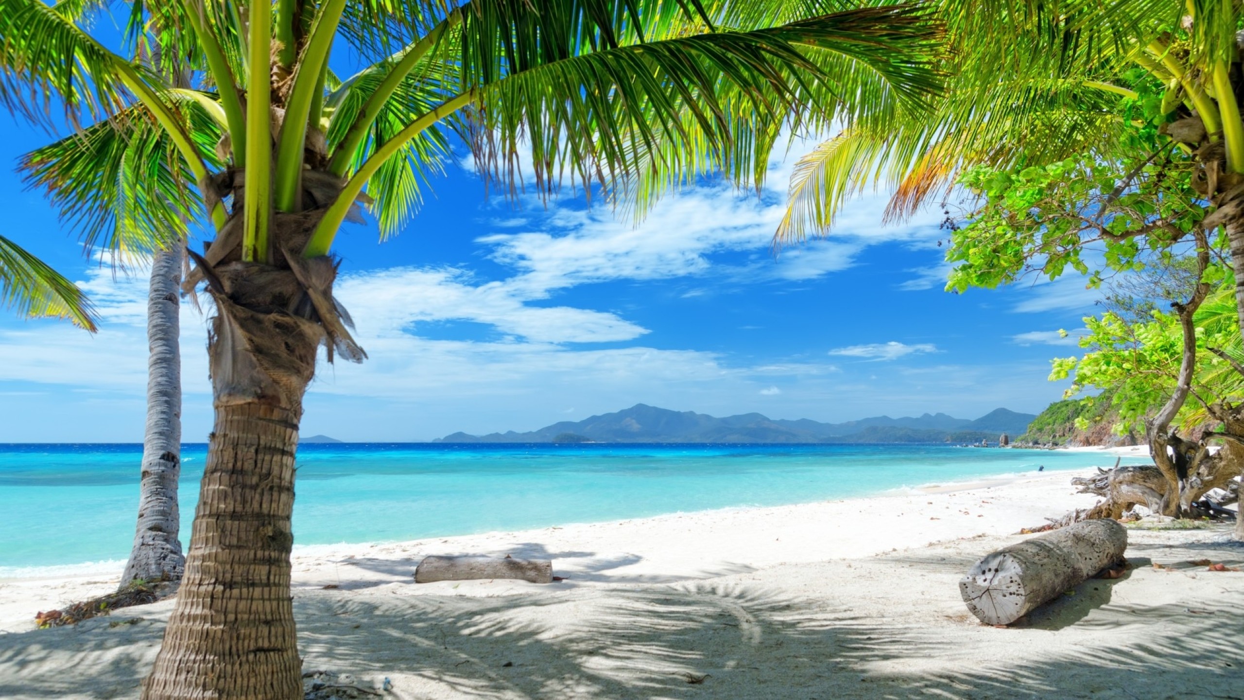 2560x1440  Wallpaper tropics, beach, sand, palm trees