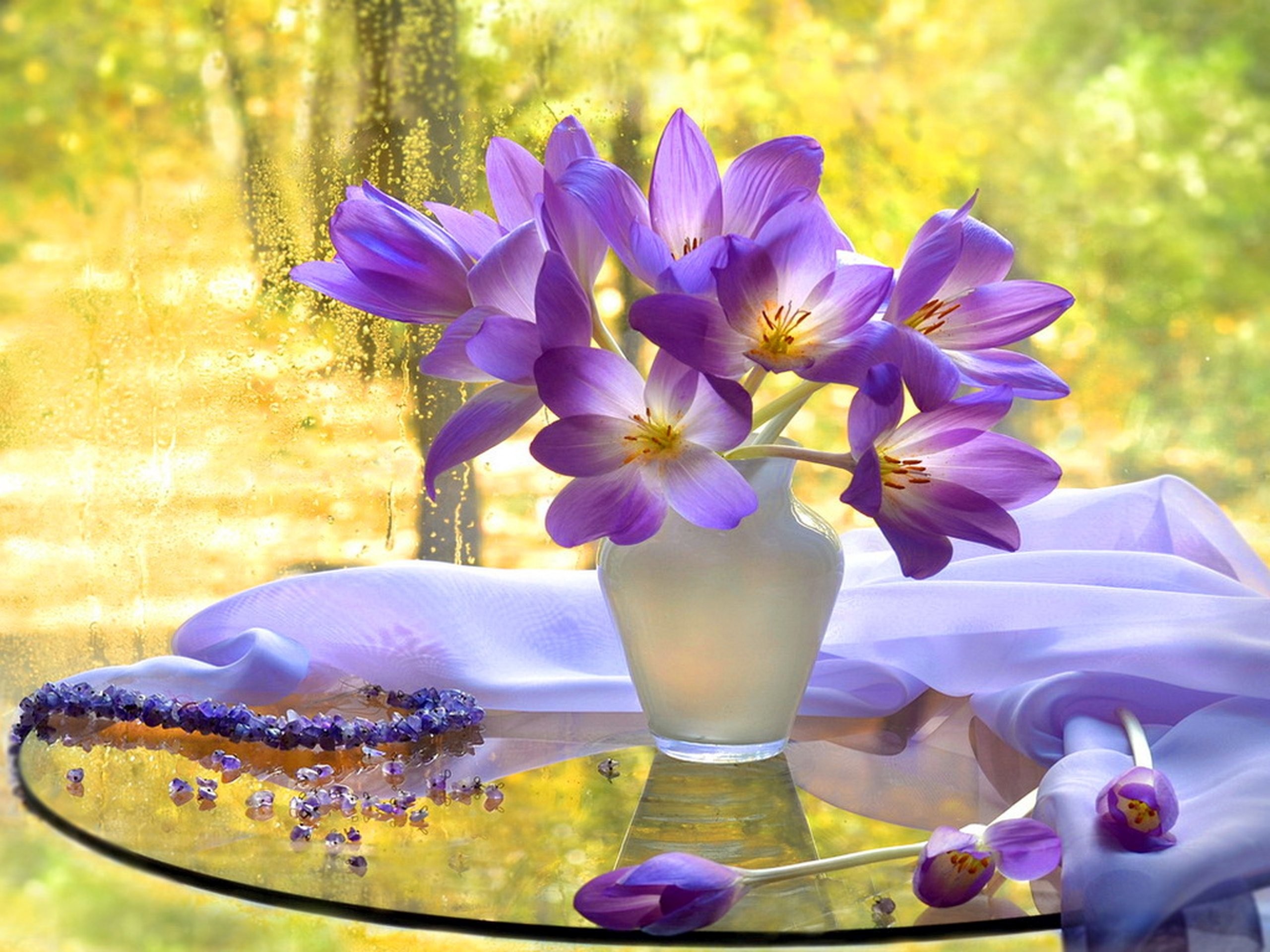 2560x1920 Beautiful flowers autumn tender view delicate harmony vase nature bouquet  still life window pretty wallpaper |  | 475990 | WallpaperUP
