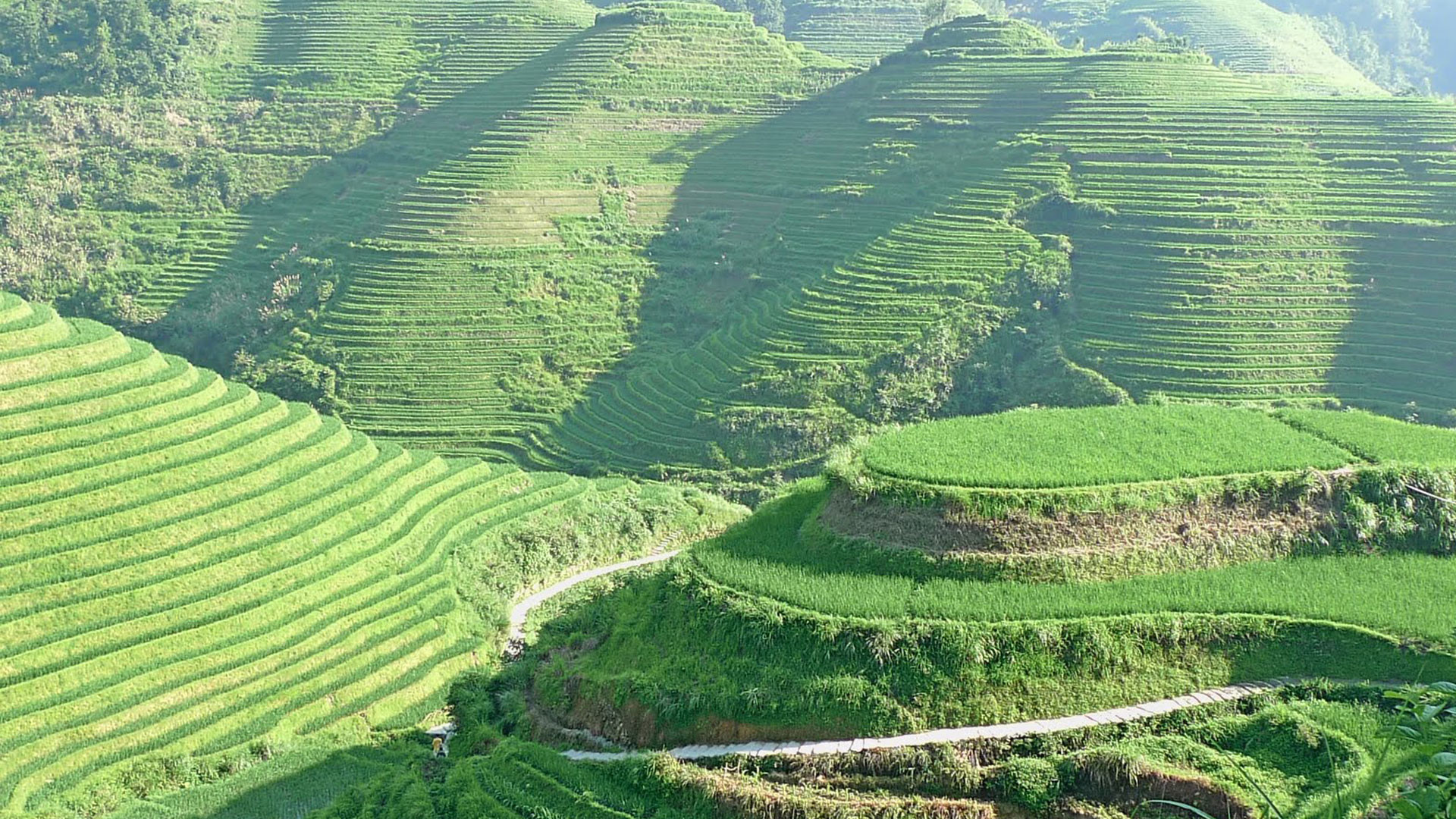 1920x1080 Philippines places | Banaue Rice Terraces a beautiful place - Next Trip  Tourism