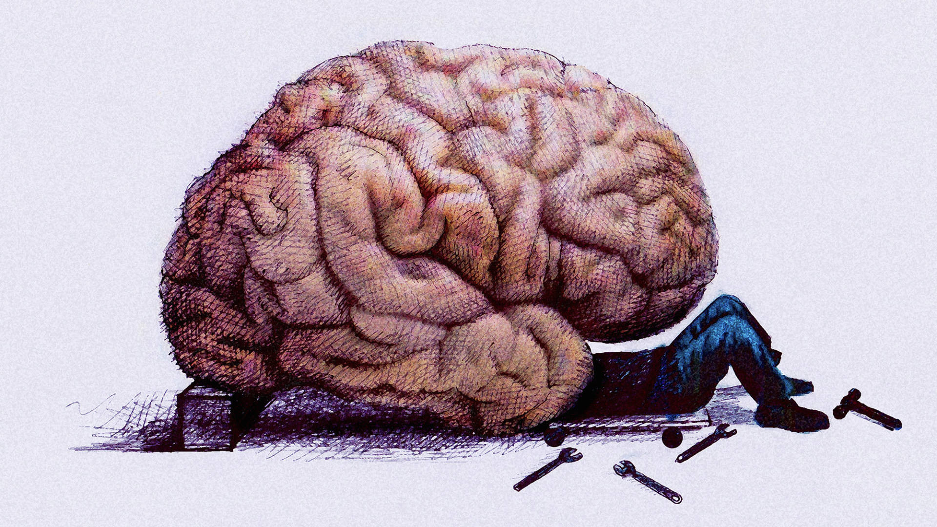 1920x1080 How to Turn on the Part of Your Brain That Controls Motivation | MindShift  | KQED News