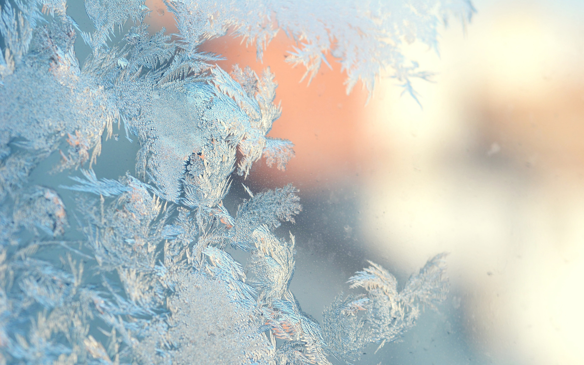 1920x1200 Window Frost