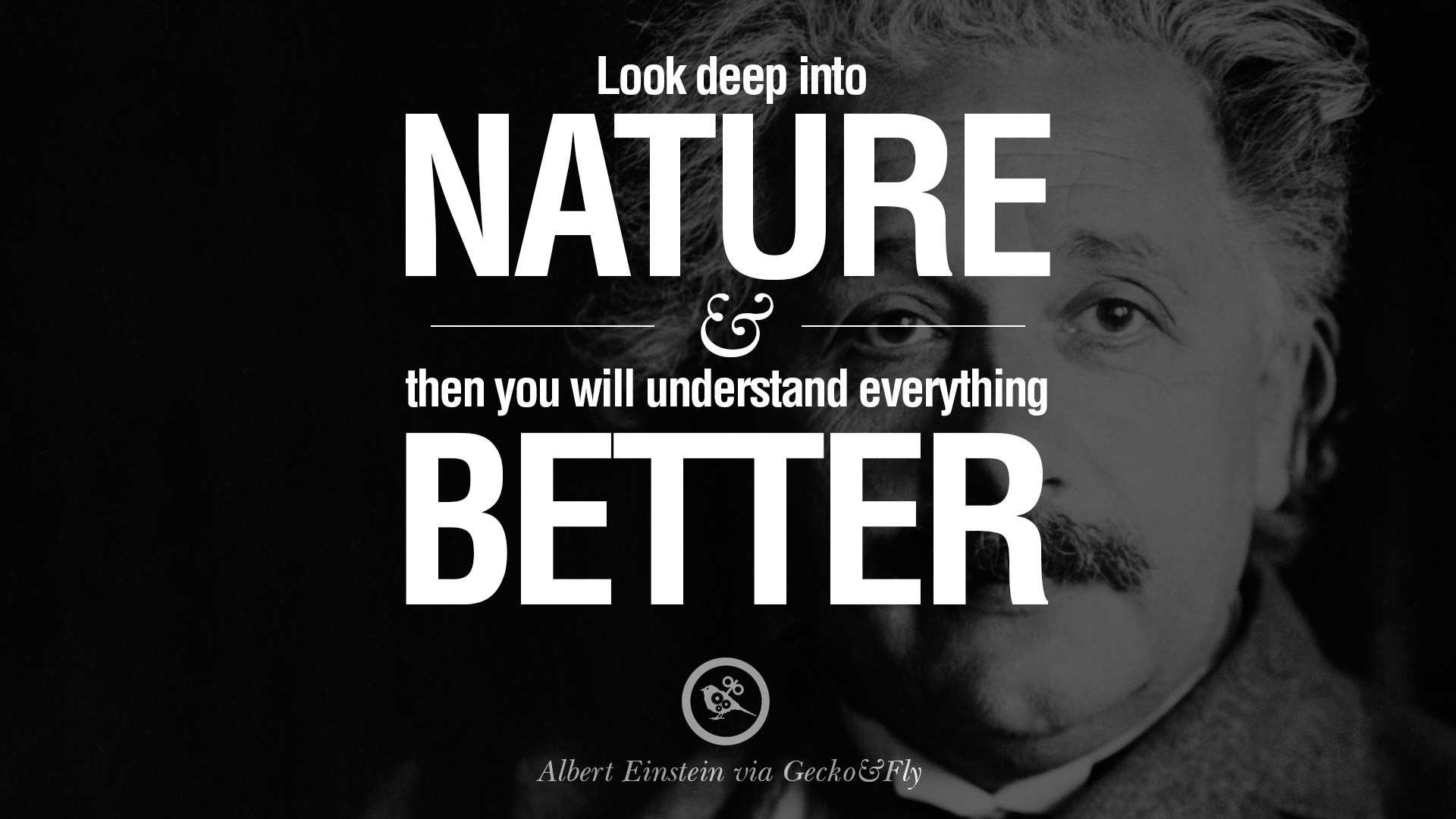 1920x1080 40 Beautiful Albert Einstein Quotes on God, Life, Knowledge and Imagination