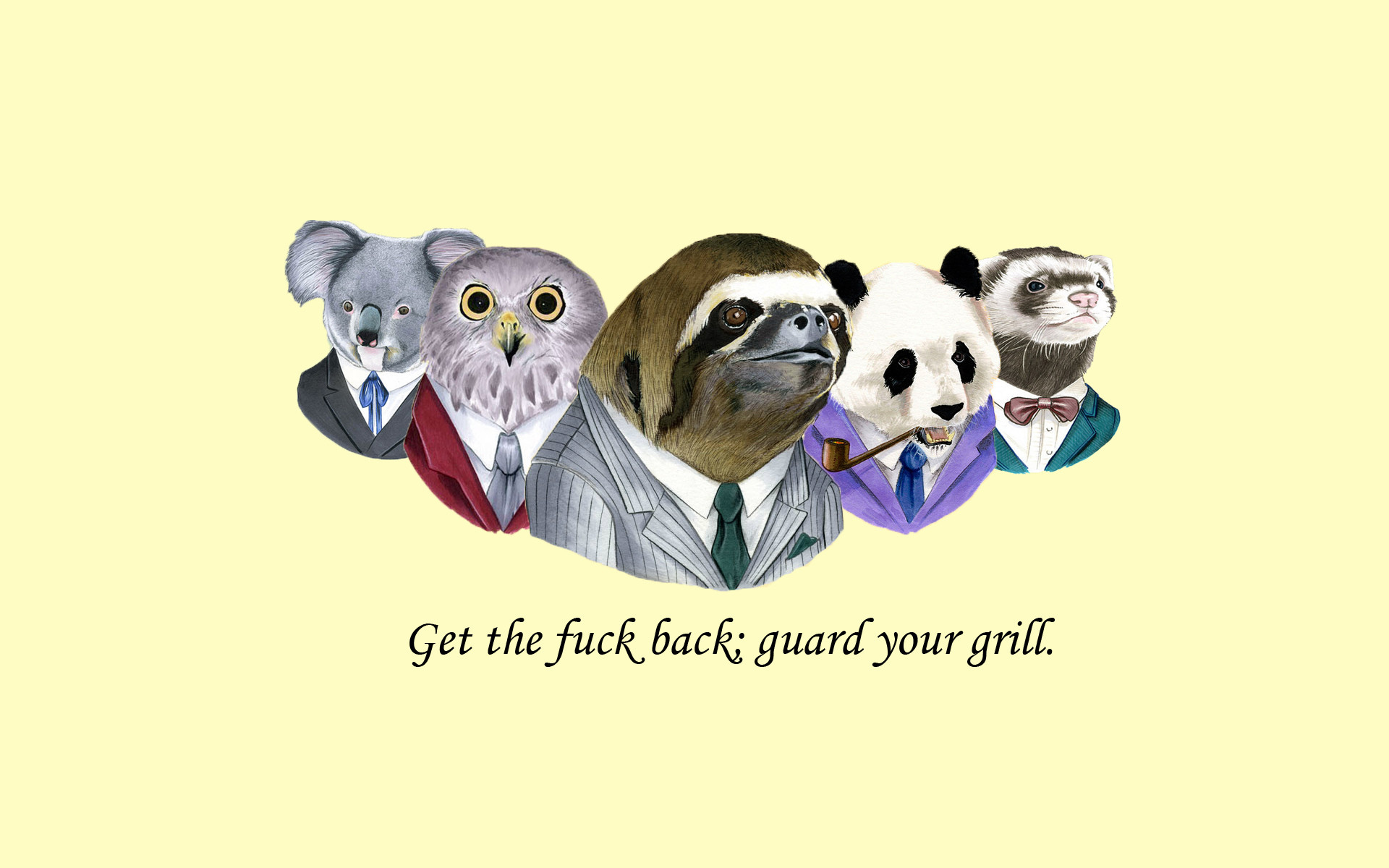 1920x1200 Sloth Suit WTF Fuck Owl Koala Panda Weasel wallpaper