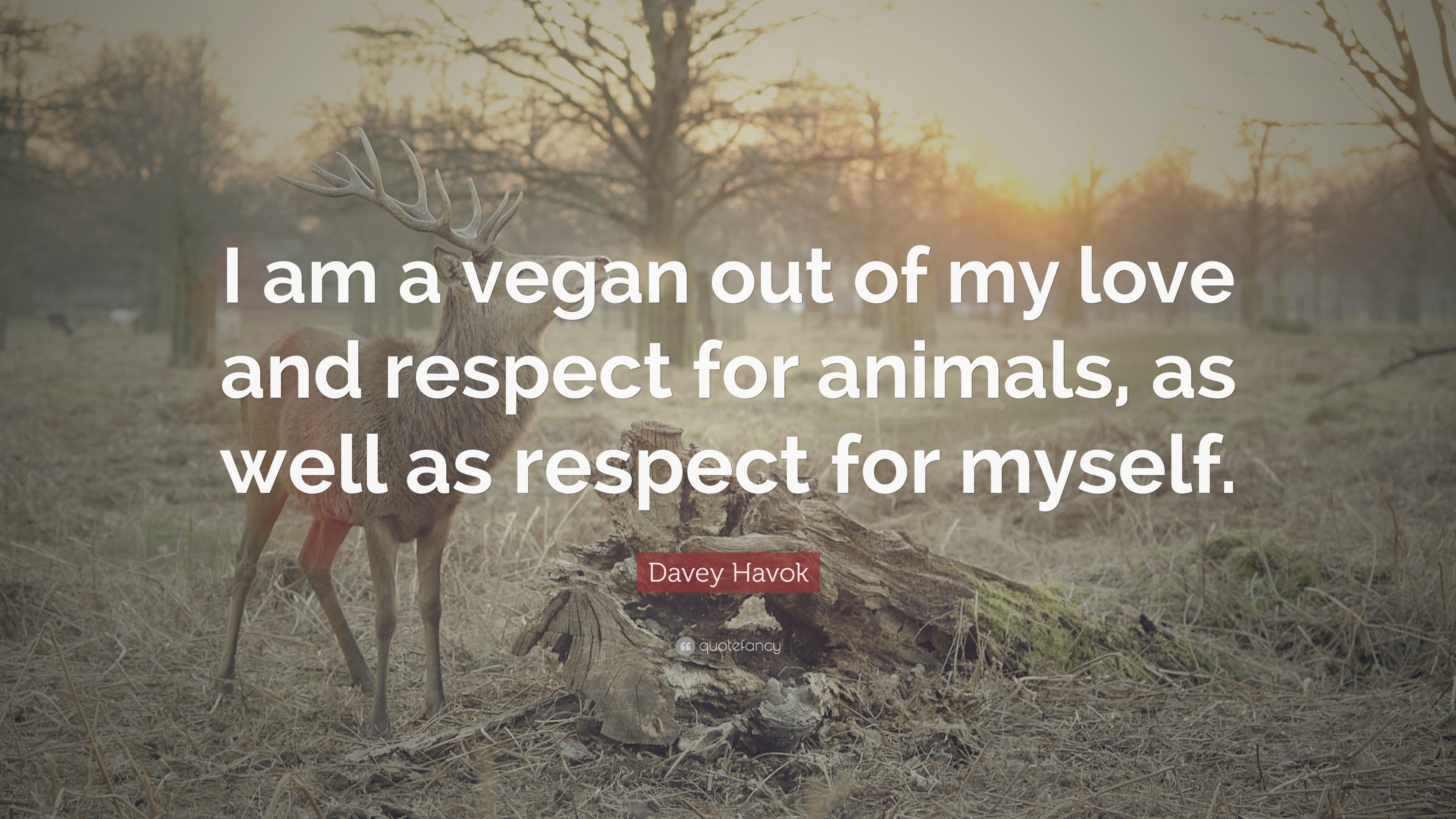 3840x2160 Davey Havok Quote: “I am a vegan out of my love and respect for