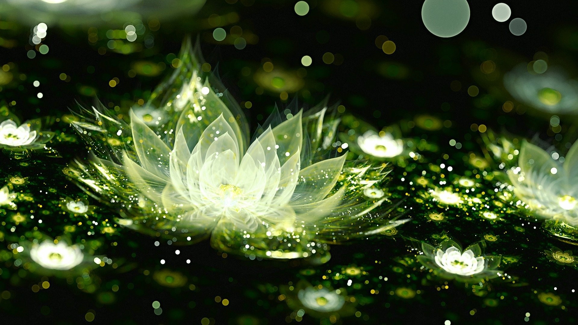 1920x1080 3d graphics Water Lily Wallpaper At 3d Wallpapers