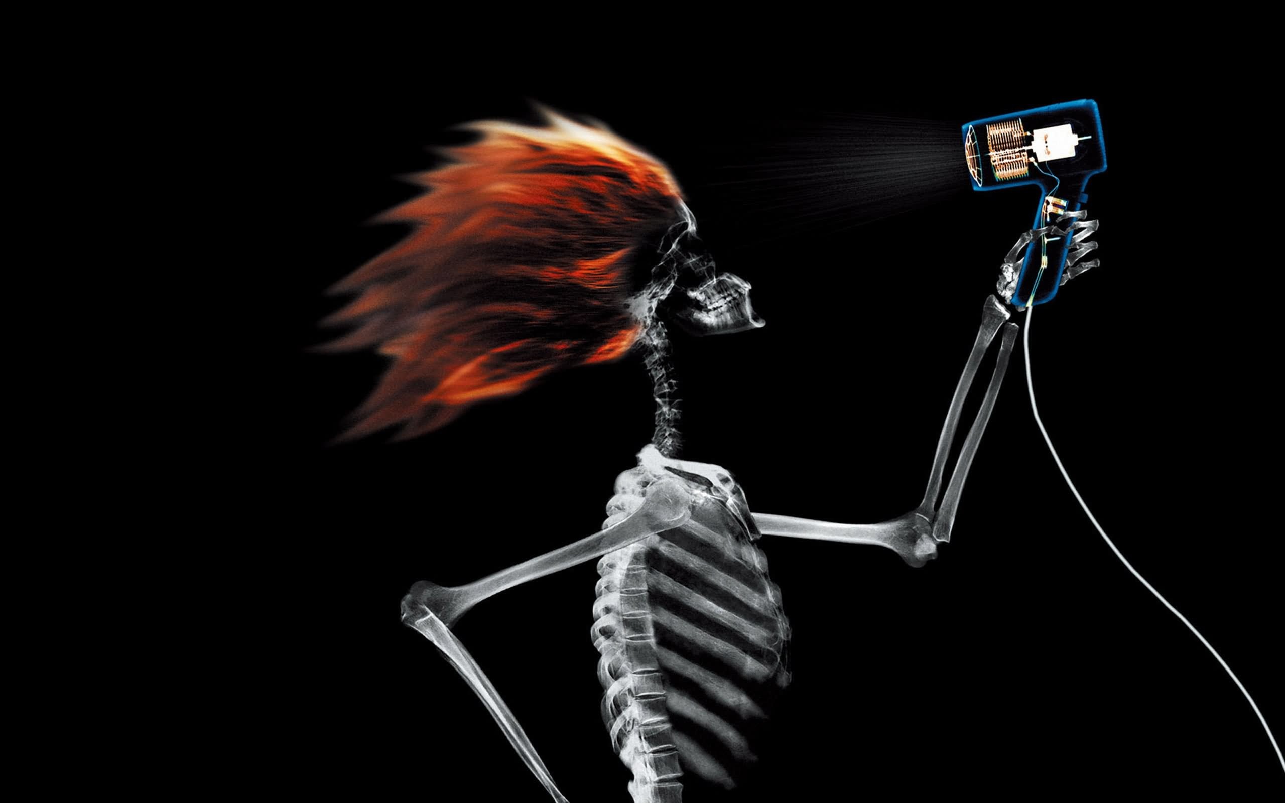 2560x1600 Funny Cool Skeleton Using Hair Drier