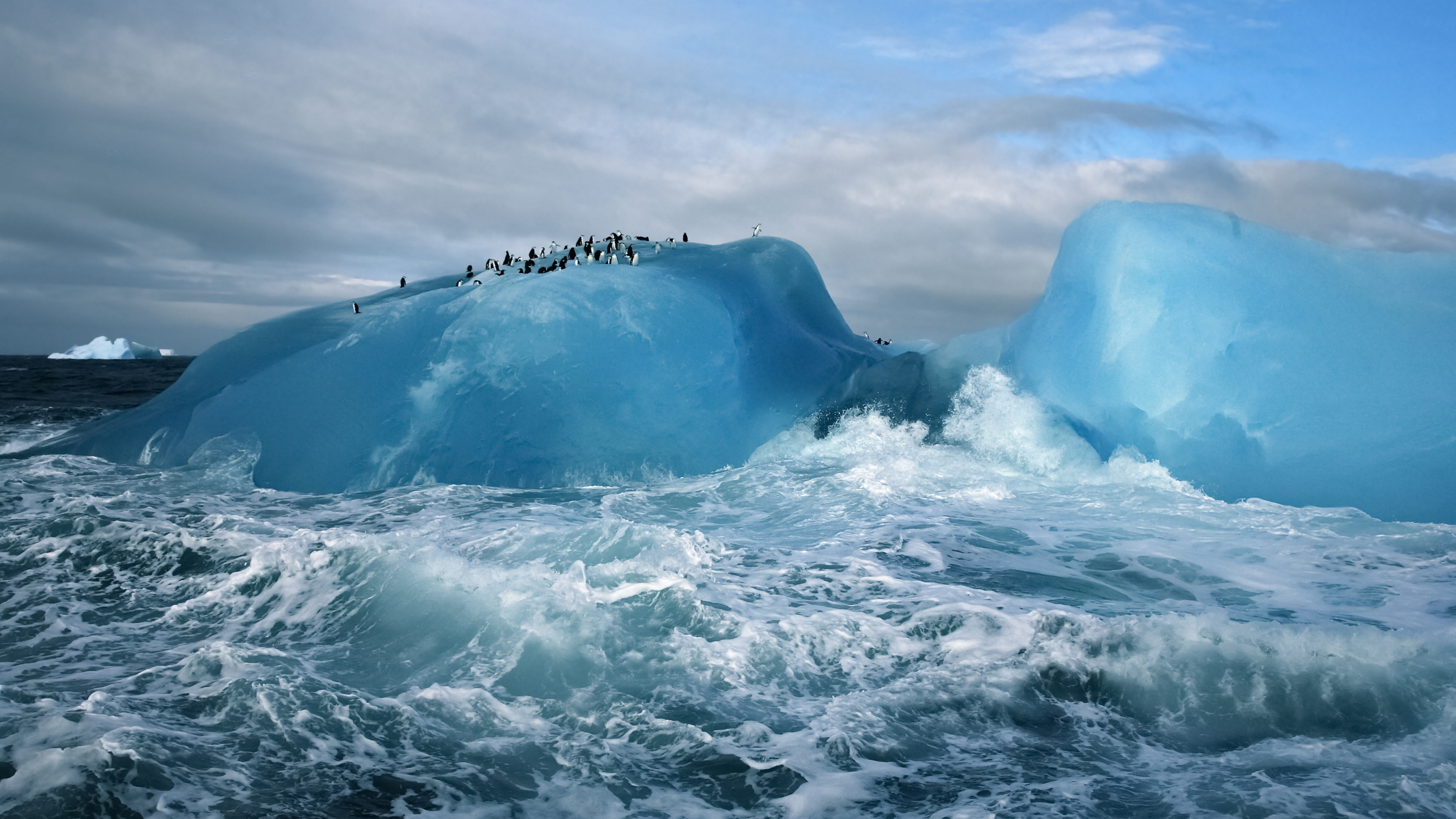 3840x2160 Preview wallpaper antarctica, penguins, ice, ocean 
