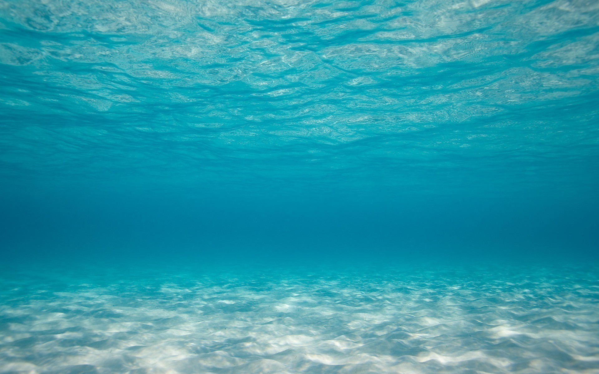 1920x1200 Sea Underwater Wallpaper  Sea, Underwater