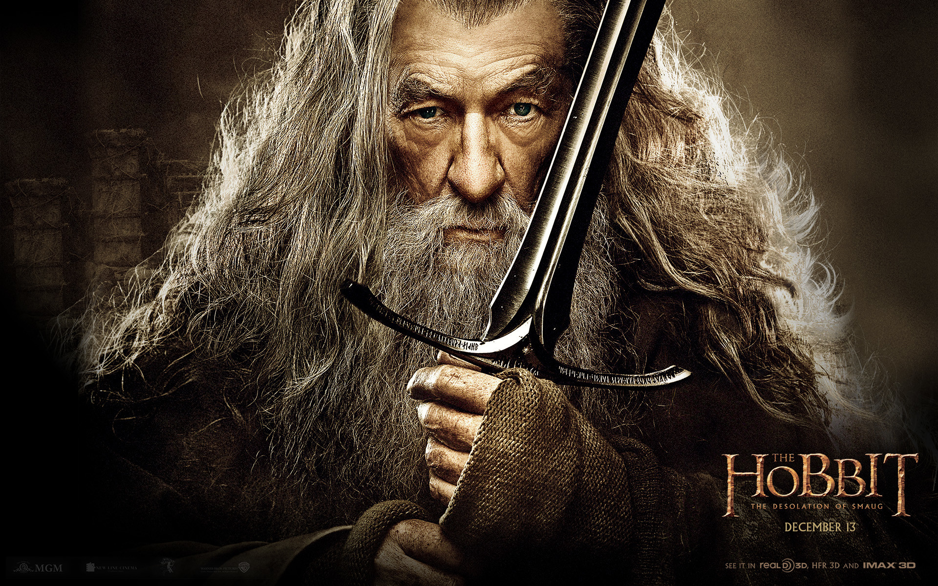 1920x1200 Movie - The Hobbit: The Desolation of Smaug Gandalf Wallpaper