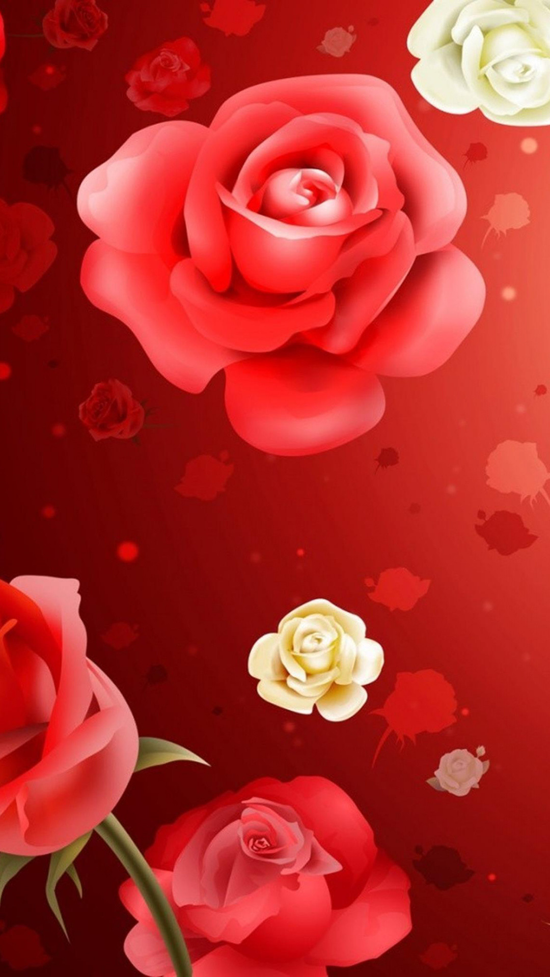 1080x1920 Rose Family, Rose, Flora, Red, Flower Wallpaper in  Resolution