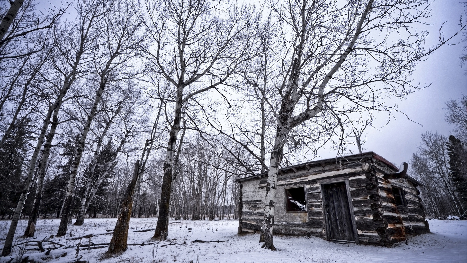 1920x1080 Earth - Winter Window Door Forest Wood Log House Tree Cold Wilderness Sky  Photography Landscape Snow