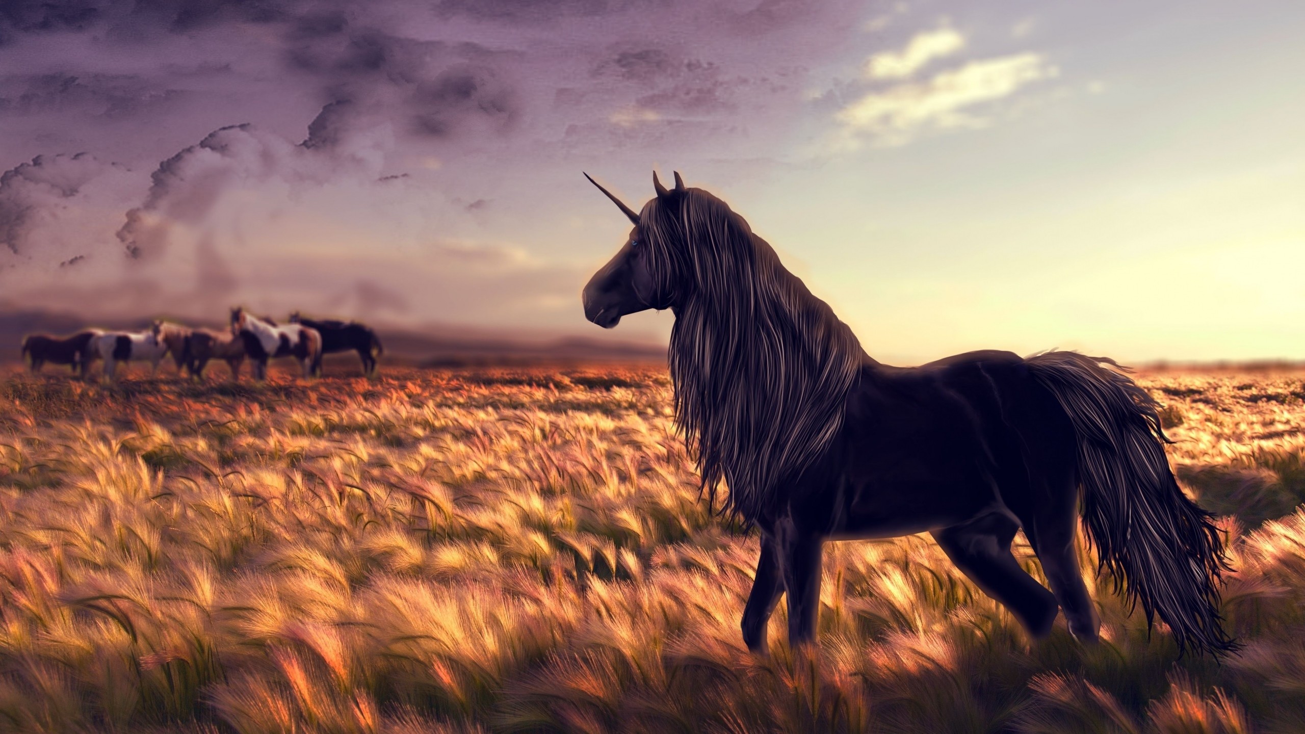 2560x1440 Preview wallpaper horse, unicorn, golf, art, grass, wind 