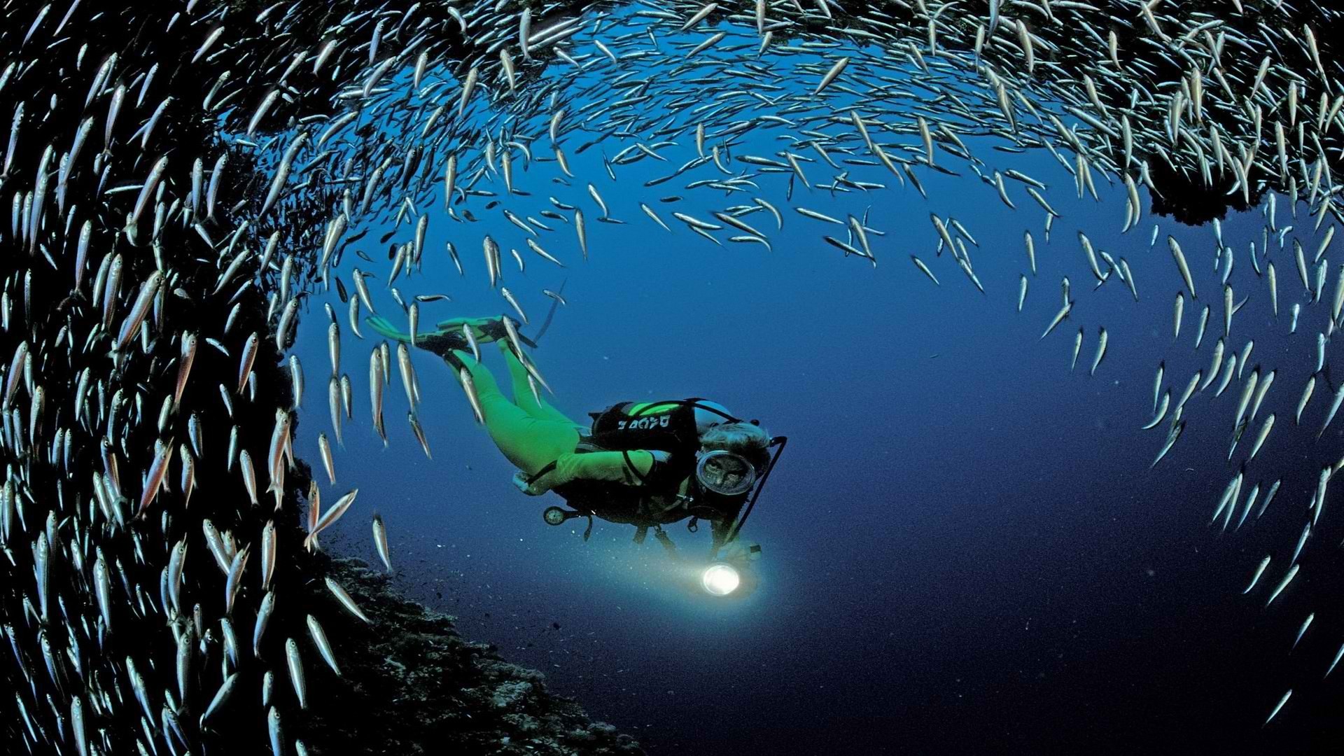 1920x1080 Scuba Diving Wallpaper Hd Ocean world wallpaper