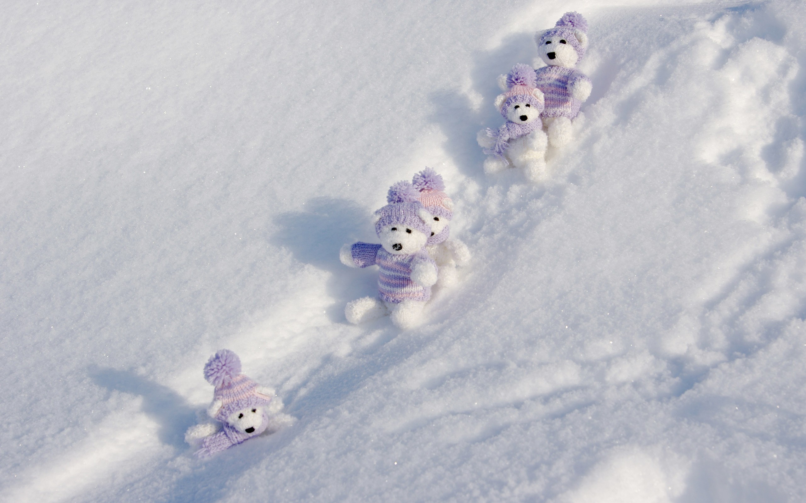 2560x1600 Winter Teddy Bears wallpapers | Winter Teddy Bears stock photos