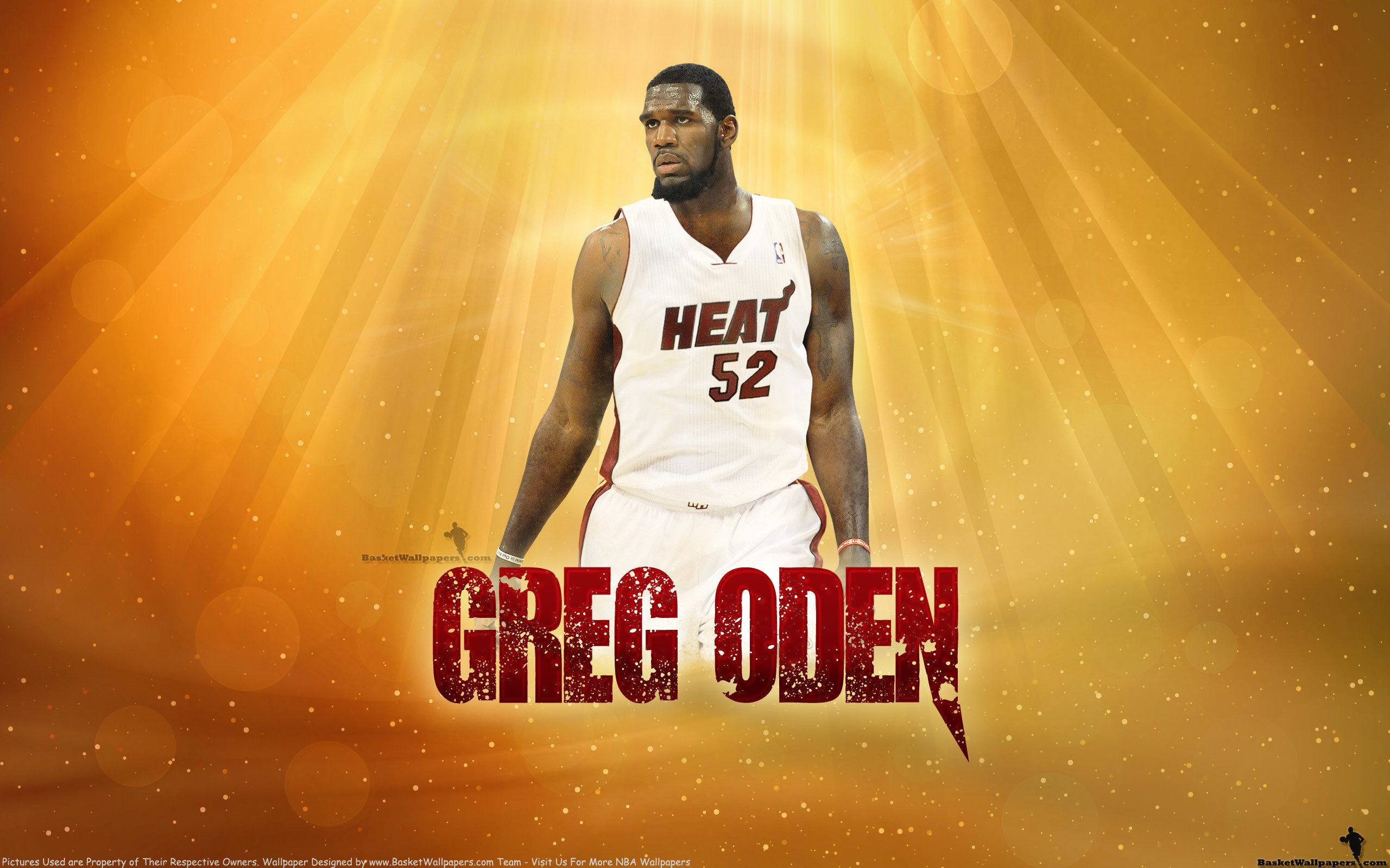 2560x1600 Greg Oden Miami Heat  Wallpaper