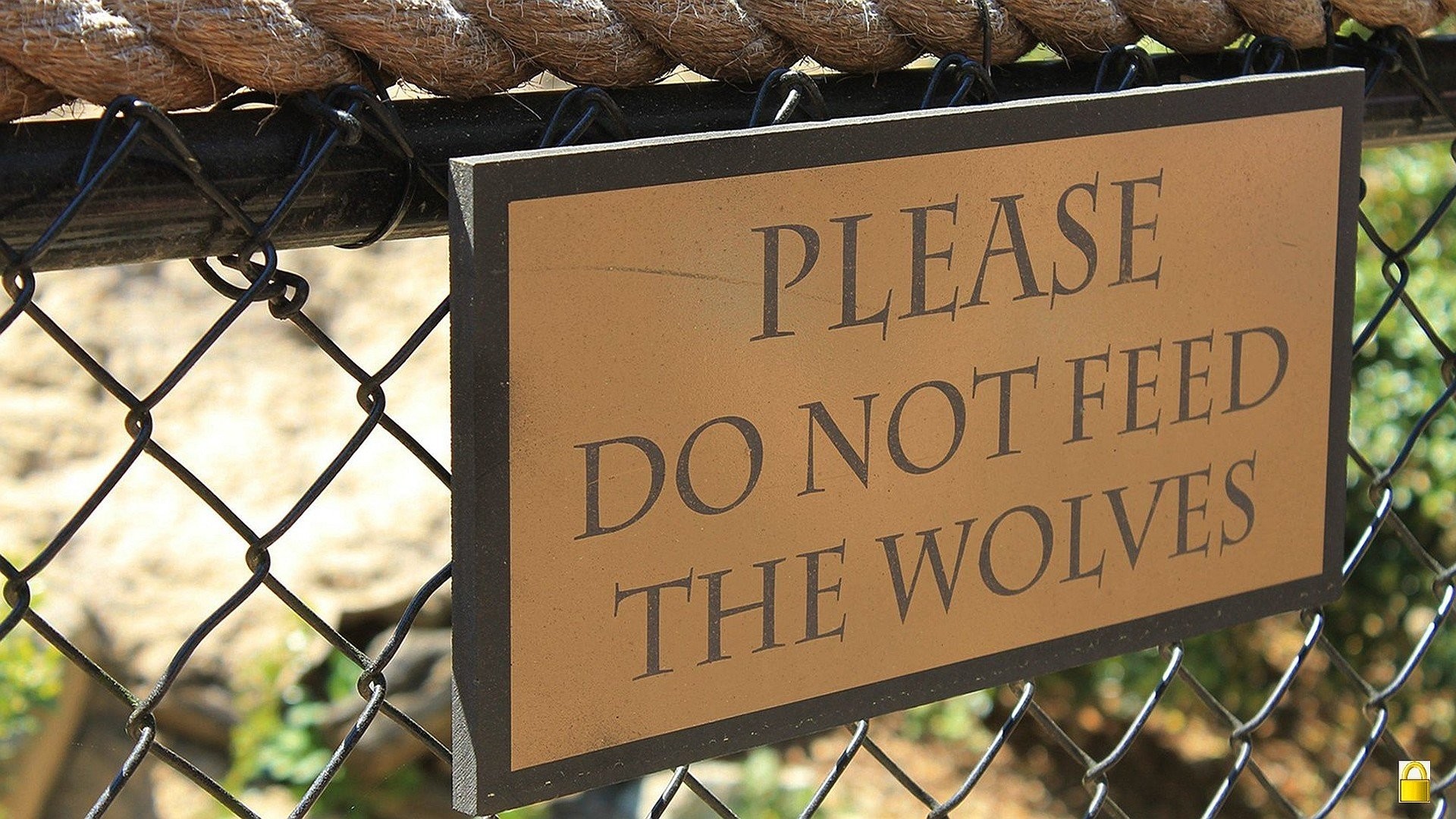 1920x1080 Signs funny warning caution advice sign wolves alert wallpaper |   | 263727 | WallpaperUP
