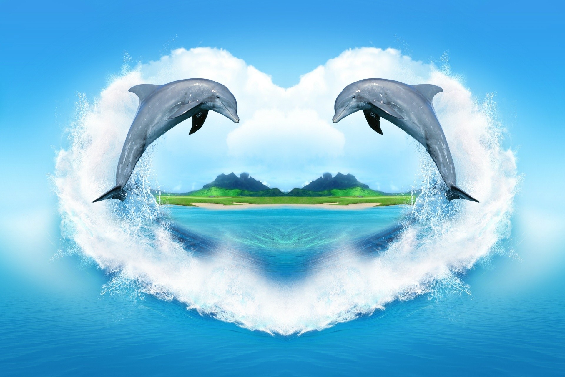 1920x1280 Dolphins images Dolphins HD wallpaper and background photos