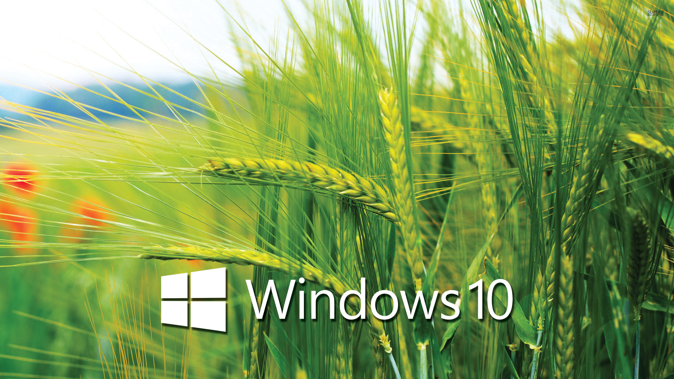 Tổng hợp 50+ hình nền win 10 đẹp nhất - Hình nền máy tính | Windows  wallpaper, Windows desktop, Bildschirmhintergrund