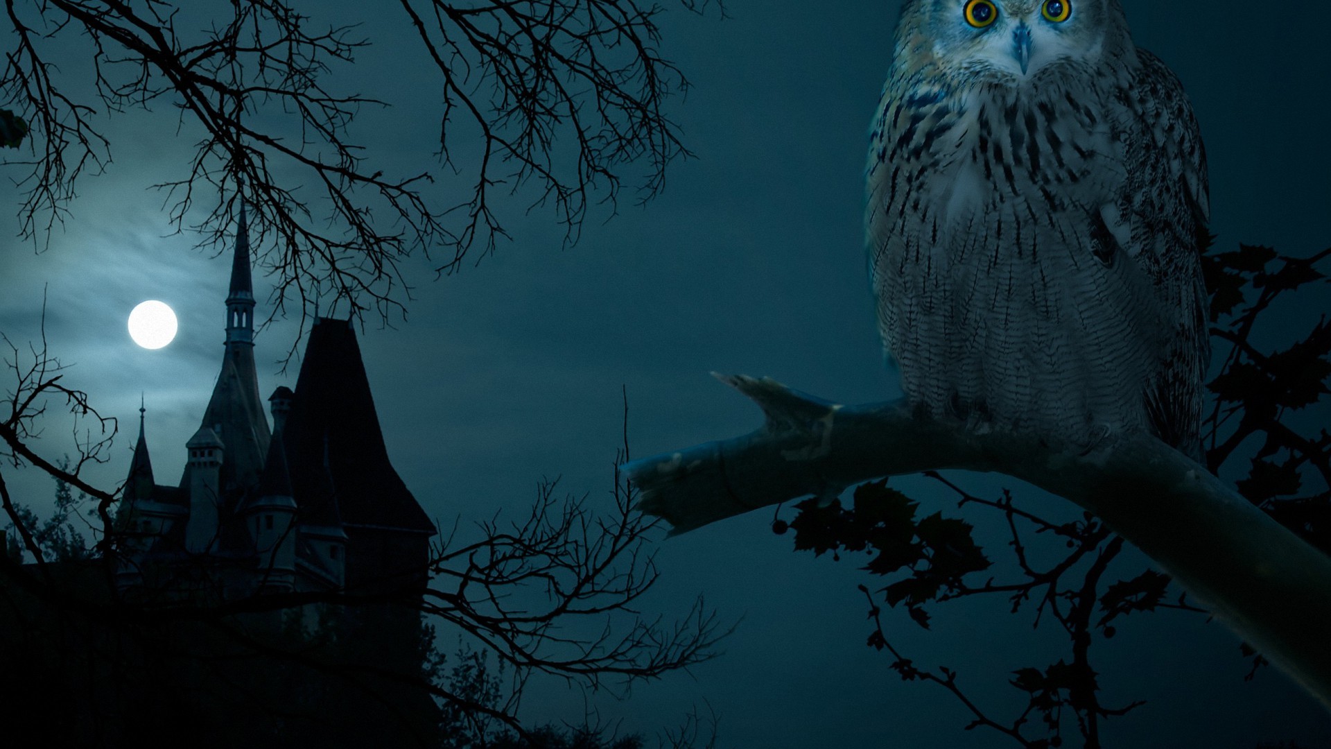 1920x1080  Halloween Owl Moon 1080P full HD Wallpapers